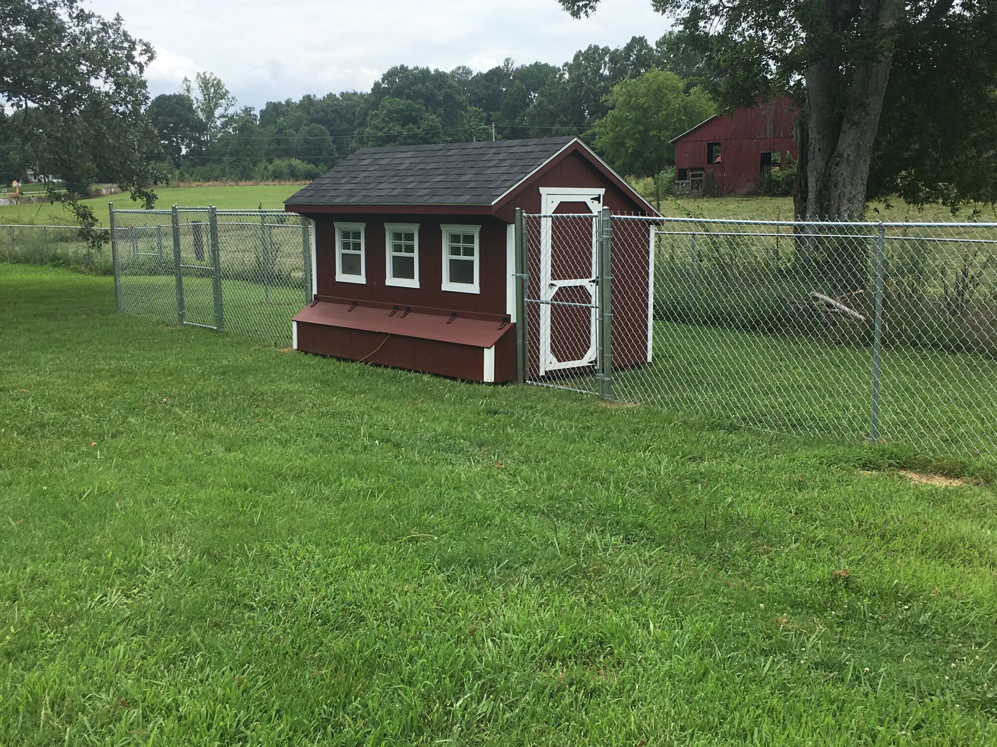 Right view of the coop and run