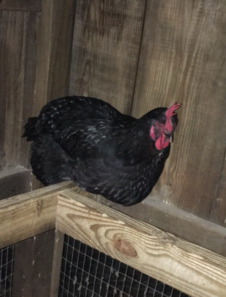 Rii posing for the camera...lol