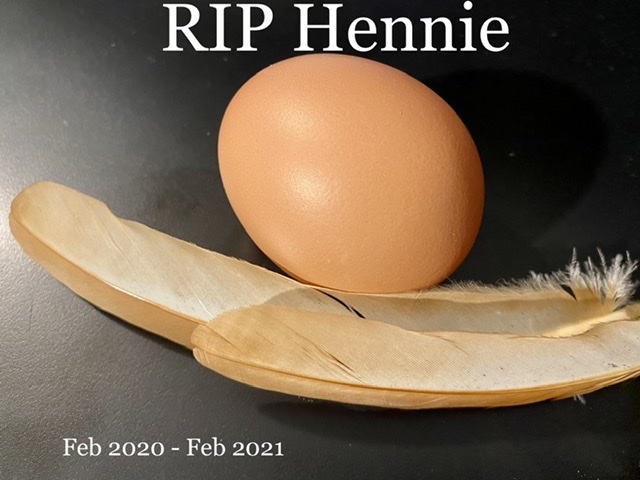 RIPHennie.jpeg