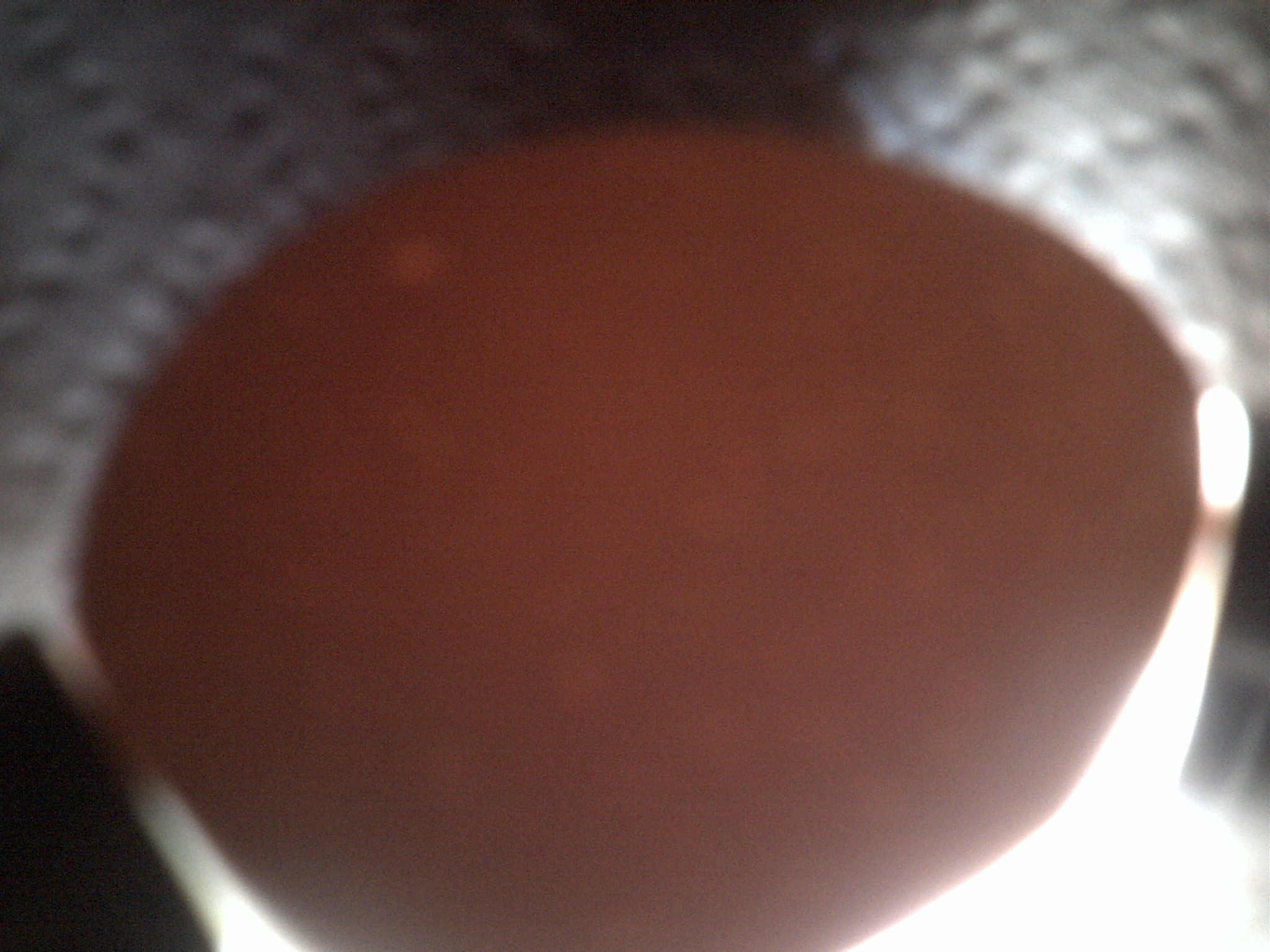 RIR#1 egg candleing Day14 nothing at all (no veins no movement)