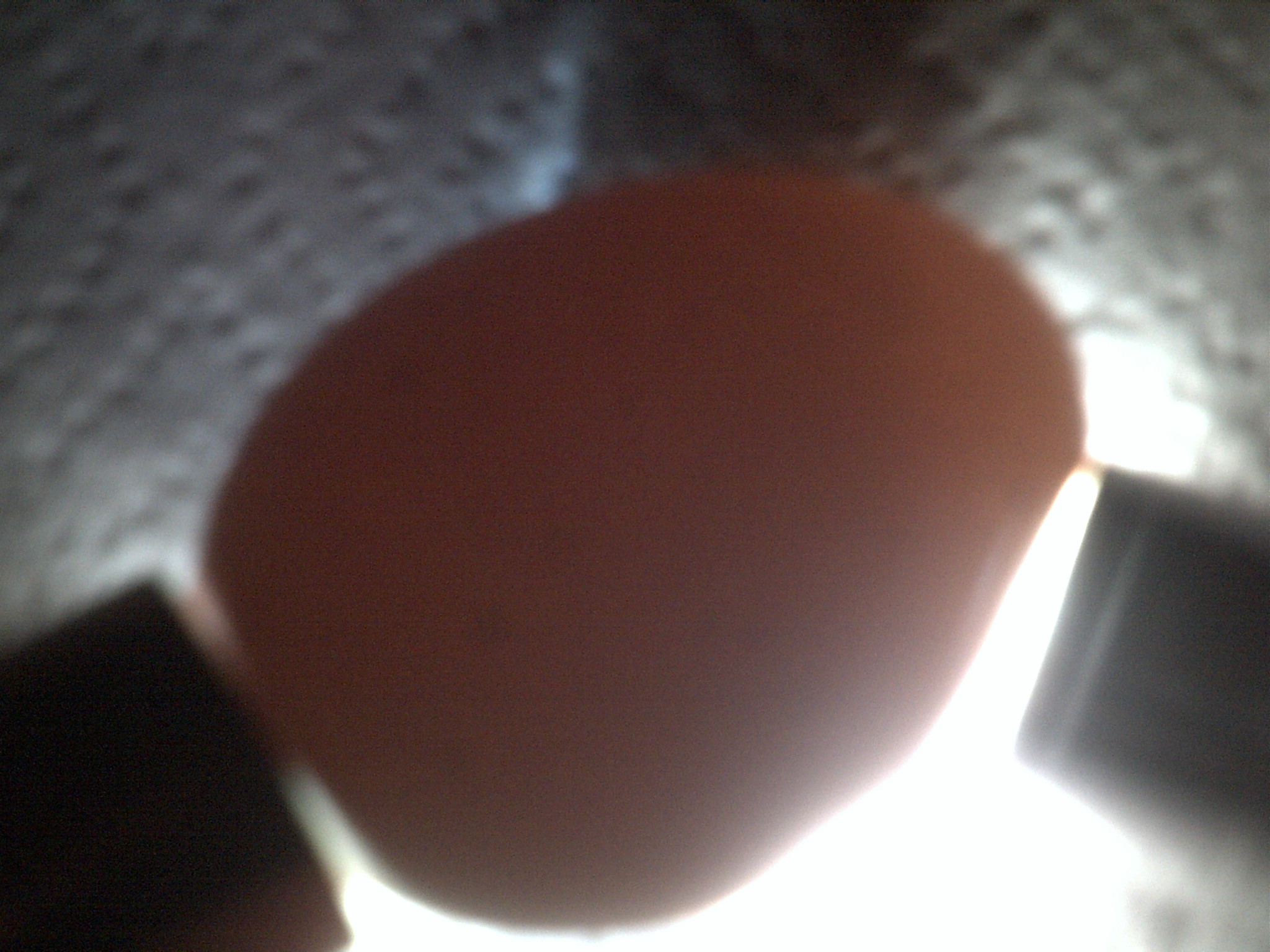 RIR#2 egg candleing Day14 nothing at all (no veins no movement)