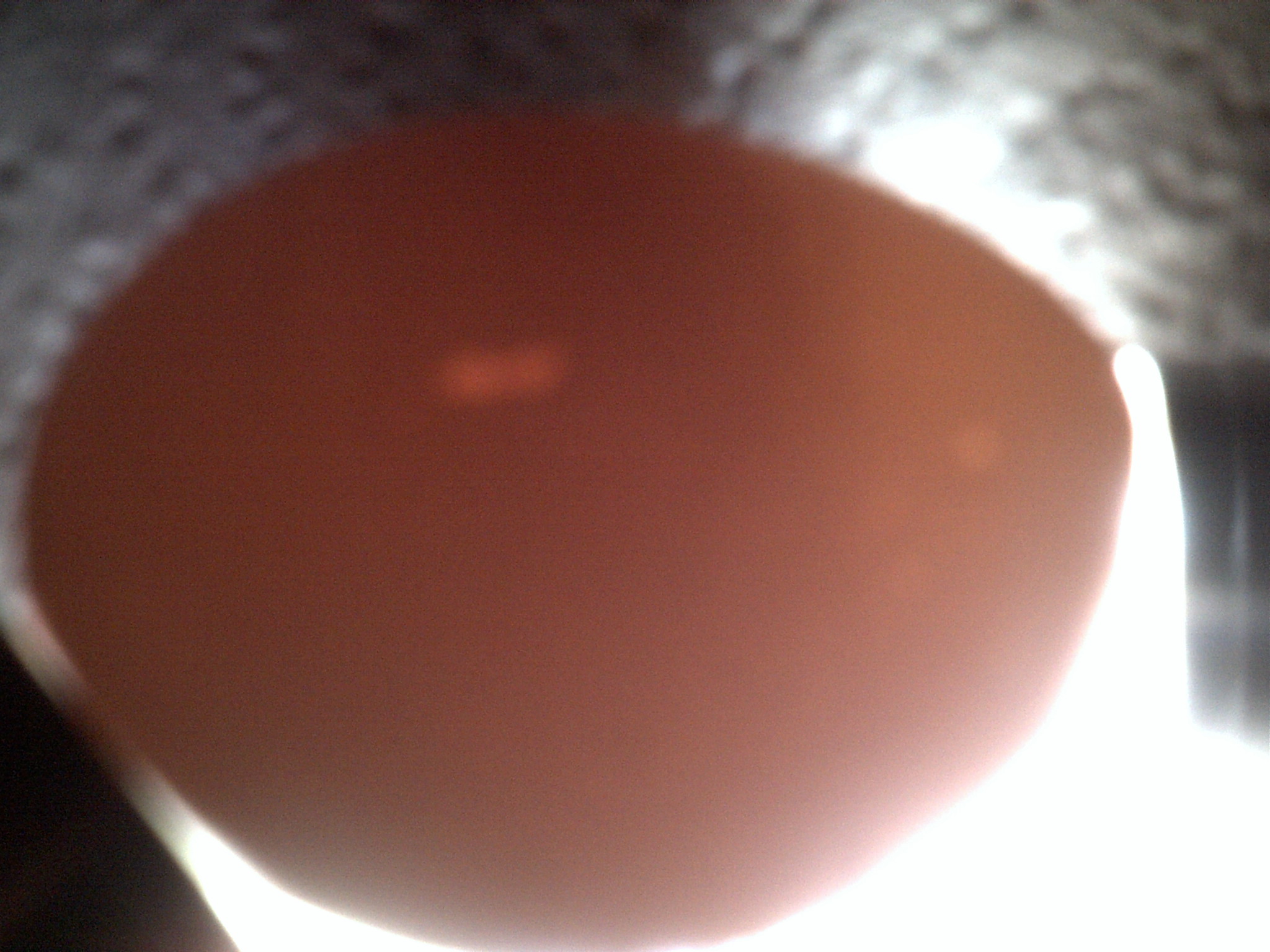 RIR#3 egg candleing Day14 nothing at all (no veins no movement)
