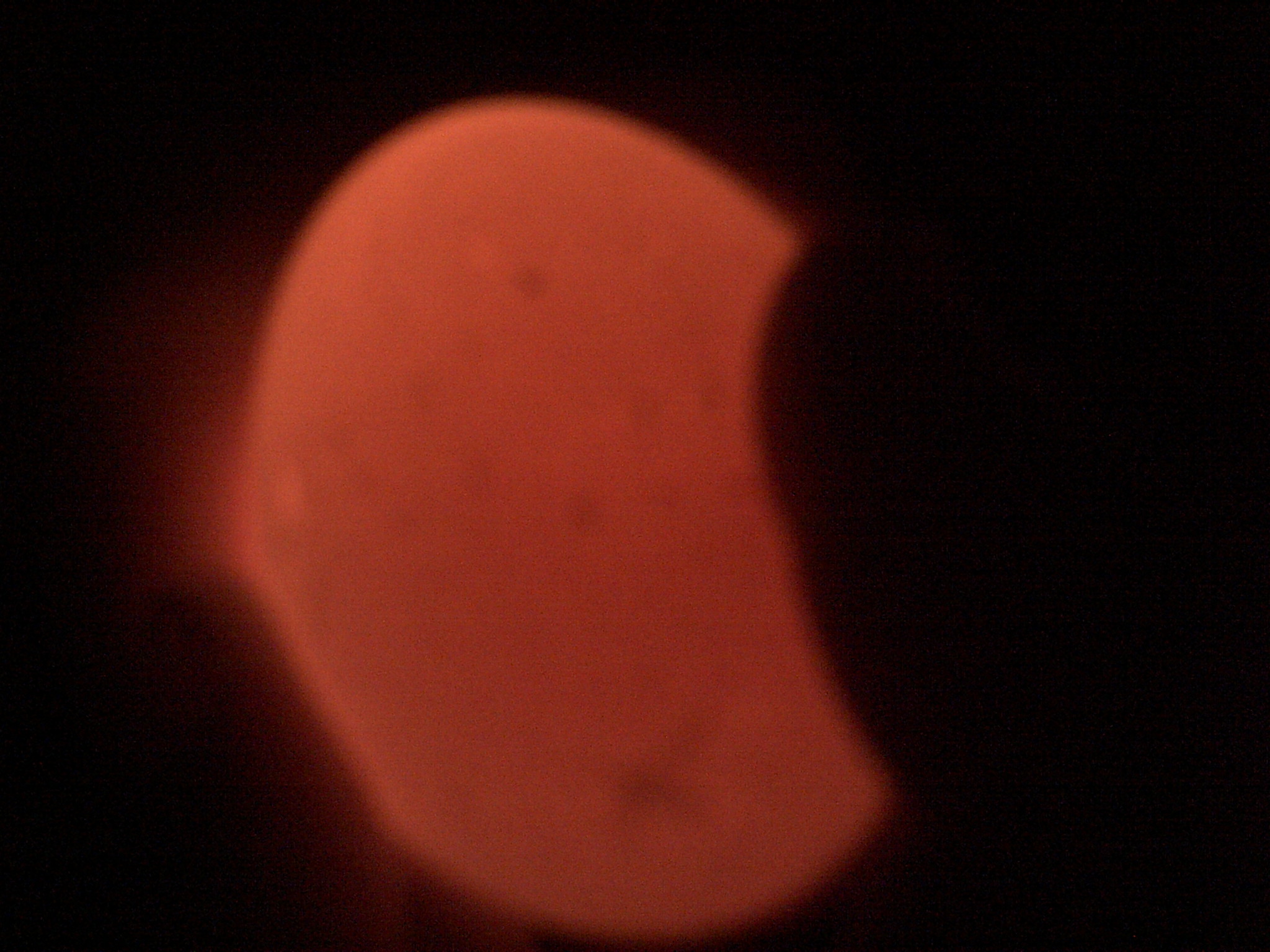 rir egg #1 looks clear :( but it is only day 6 and the egg is brown