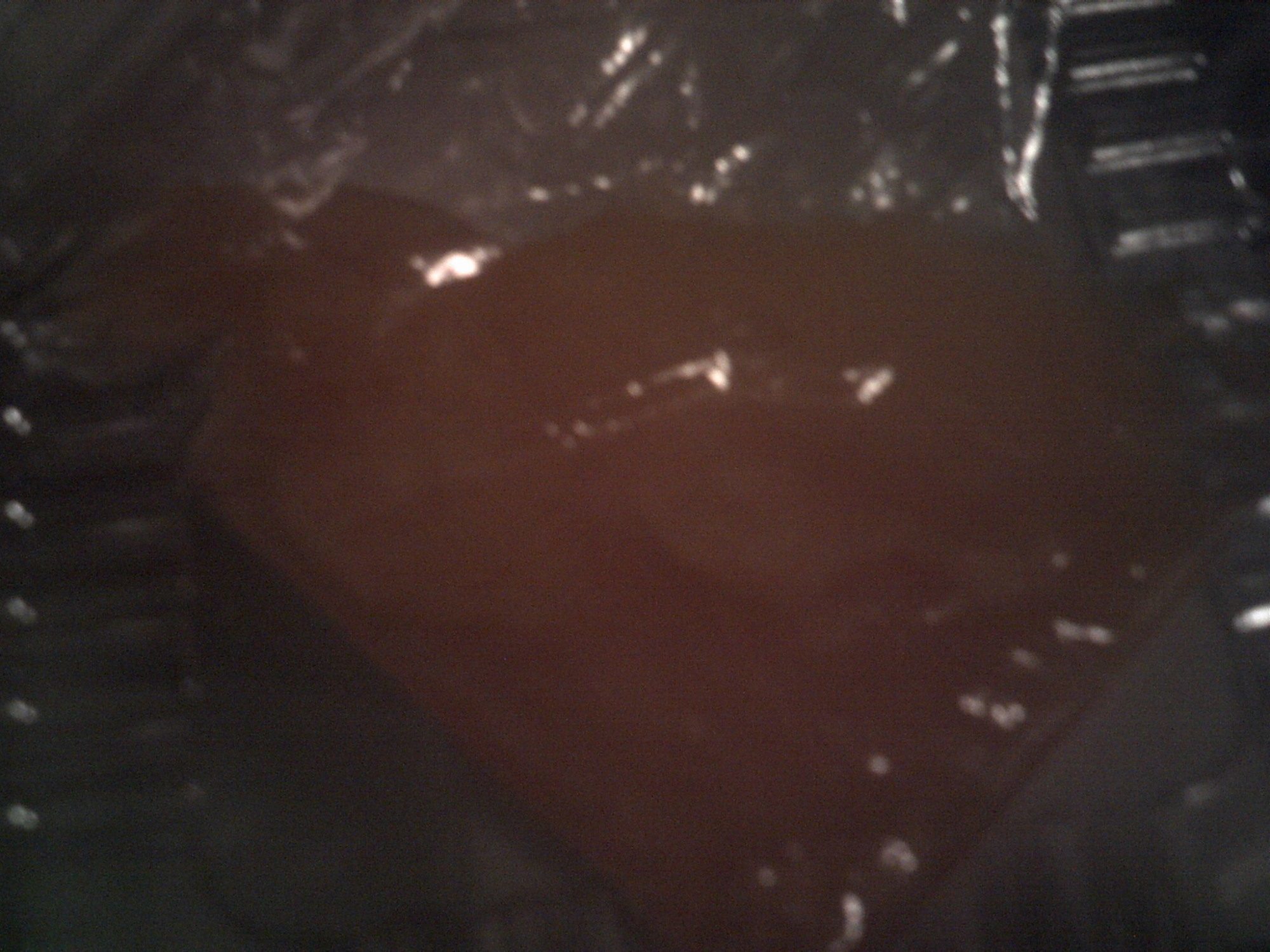 RIR egg #1 nothing no viens, no blood, nothing at all no "bullseye" eather i checked no smell no pressure when opening