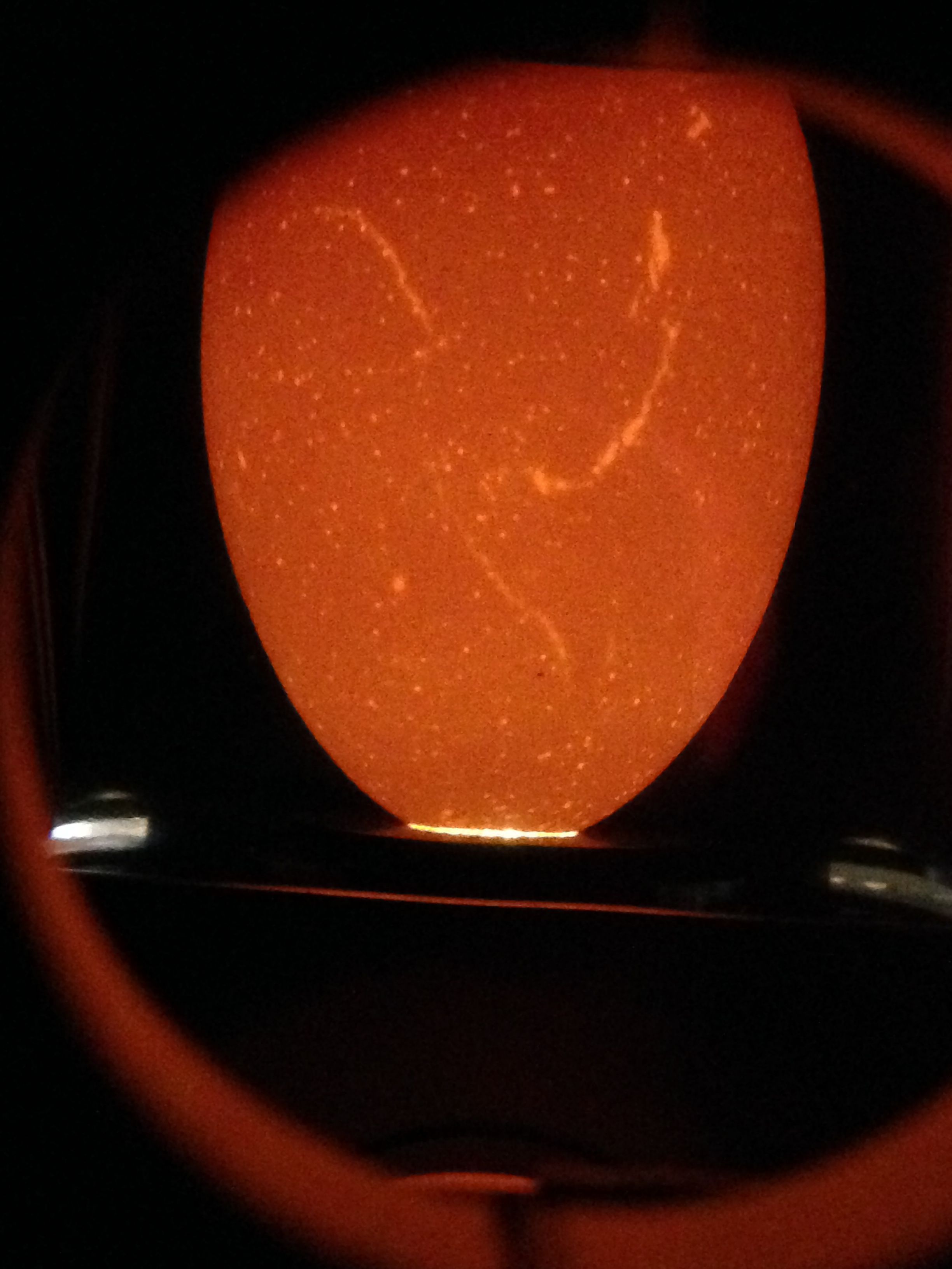 RIR, egg 13; thin shell? cracked?