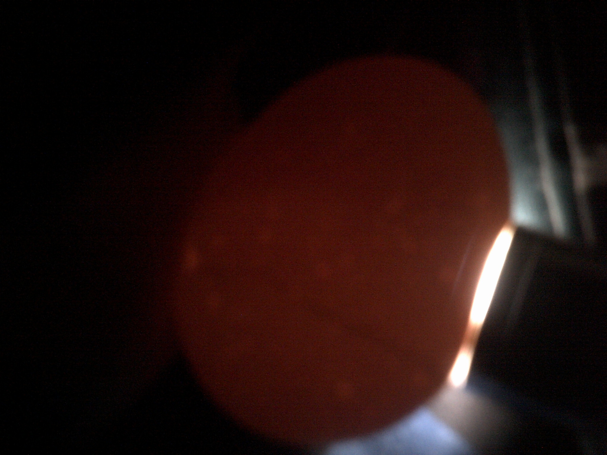 RIR egg #2 day 18 candleing before lockdown
