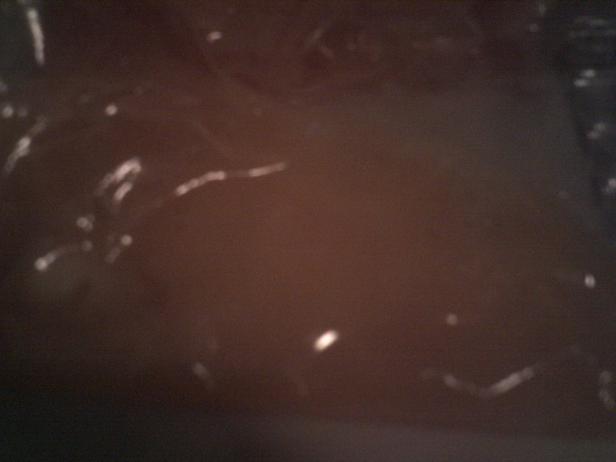 RIR egg #2  nothing no viens, no blood, nothing at all no "bullseye" eather i checked no smell no pressure when opening