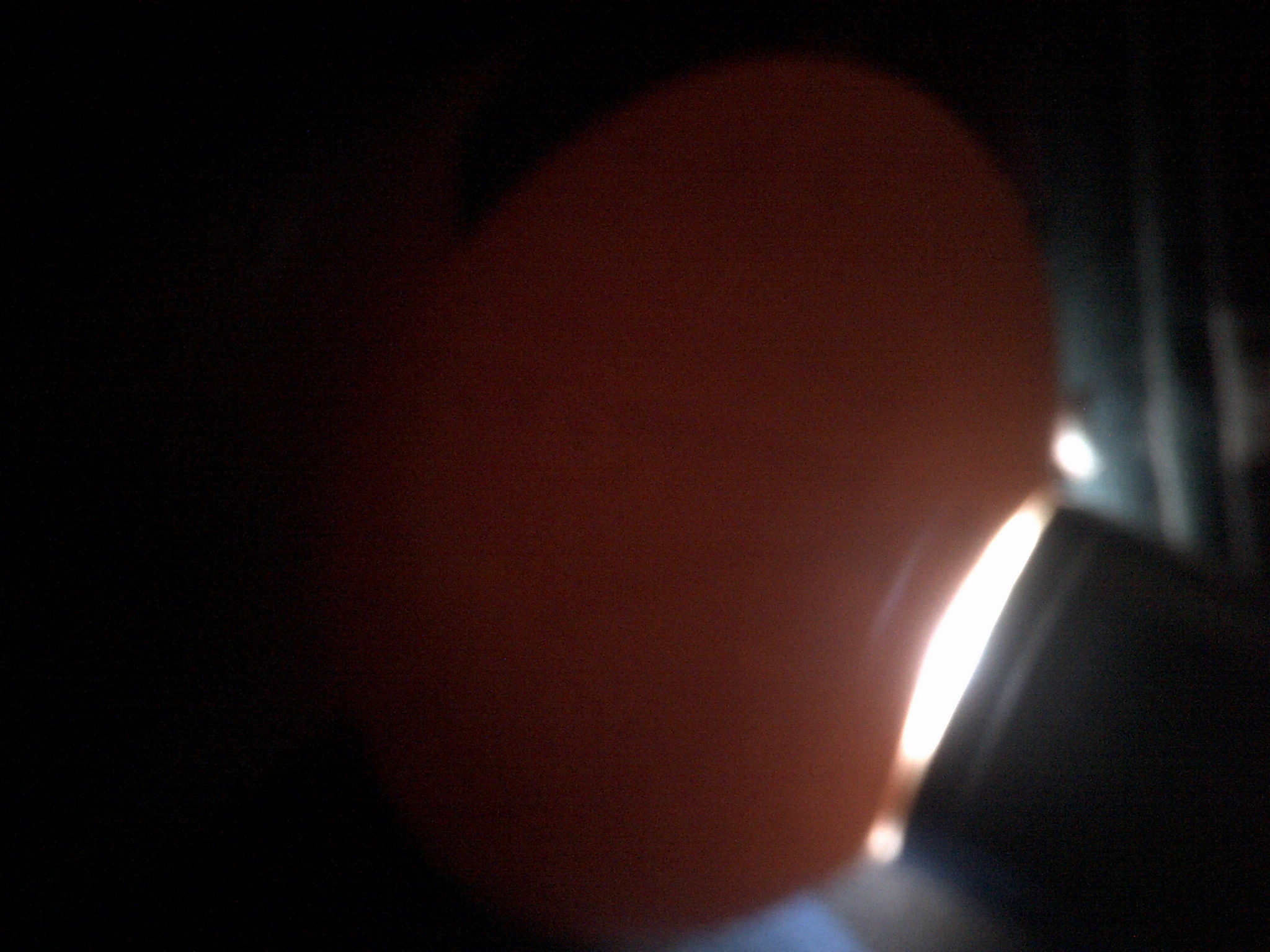 RIR egg #3 day 18 candleing before lockdown
