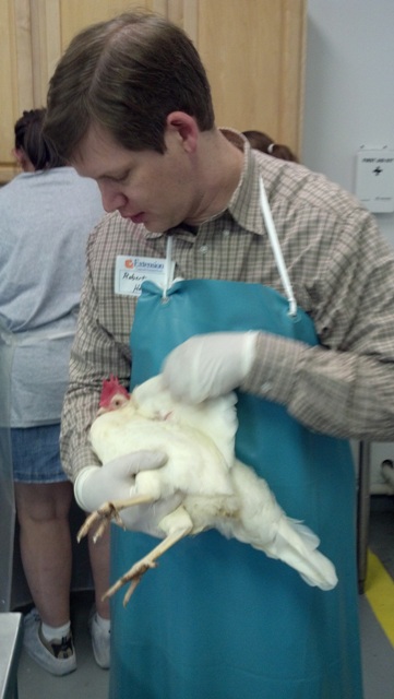 Robert @ Npip class, just learning to band and draw blood for testing birds.