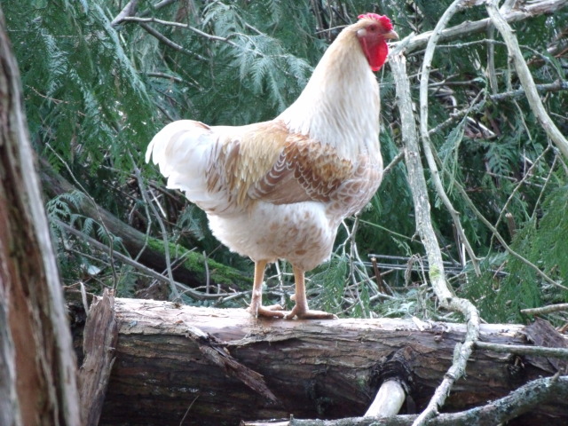 Rodger looking Handsome!