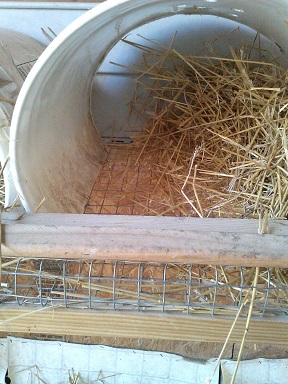 Roll-away wire bottom nest