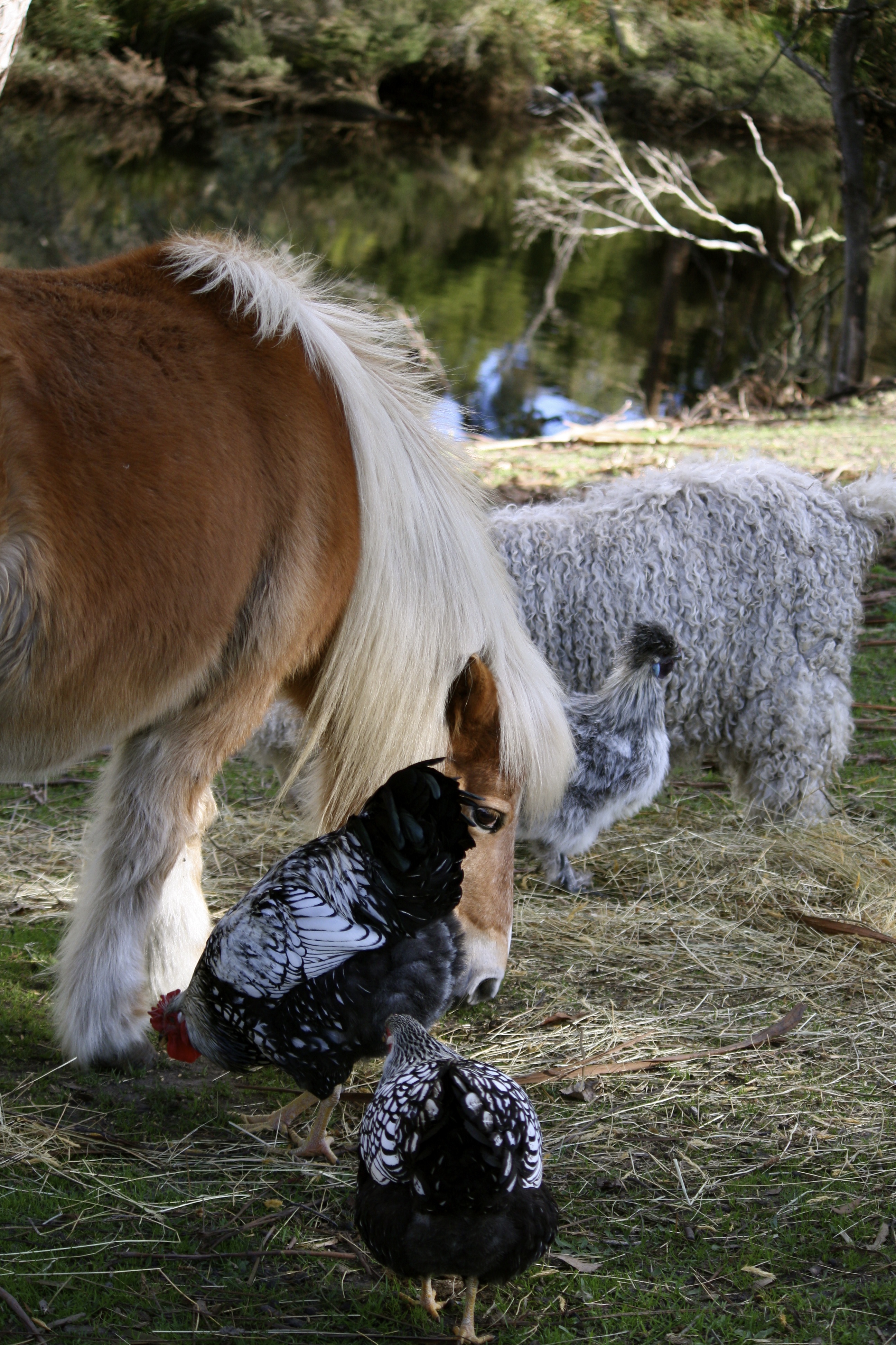 Romeo trying his charm on flash