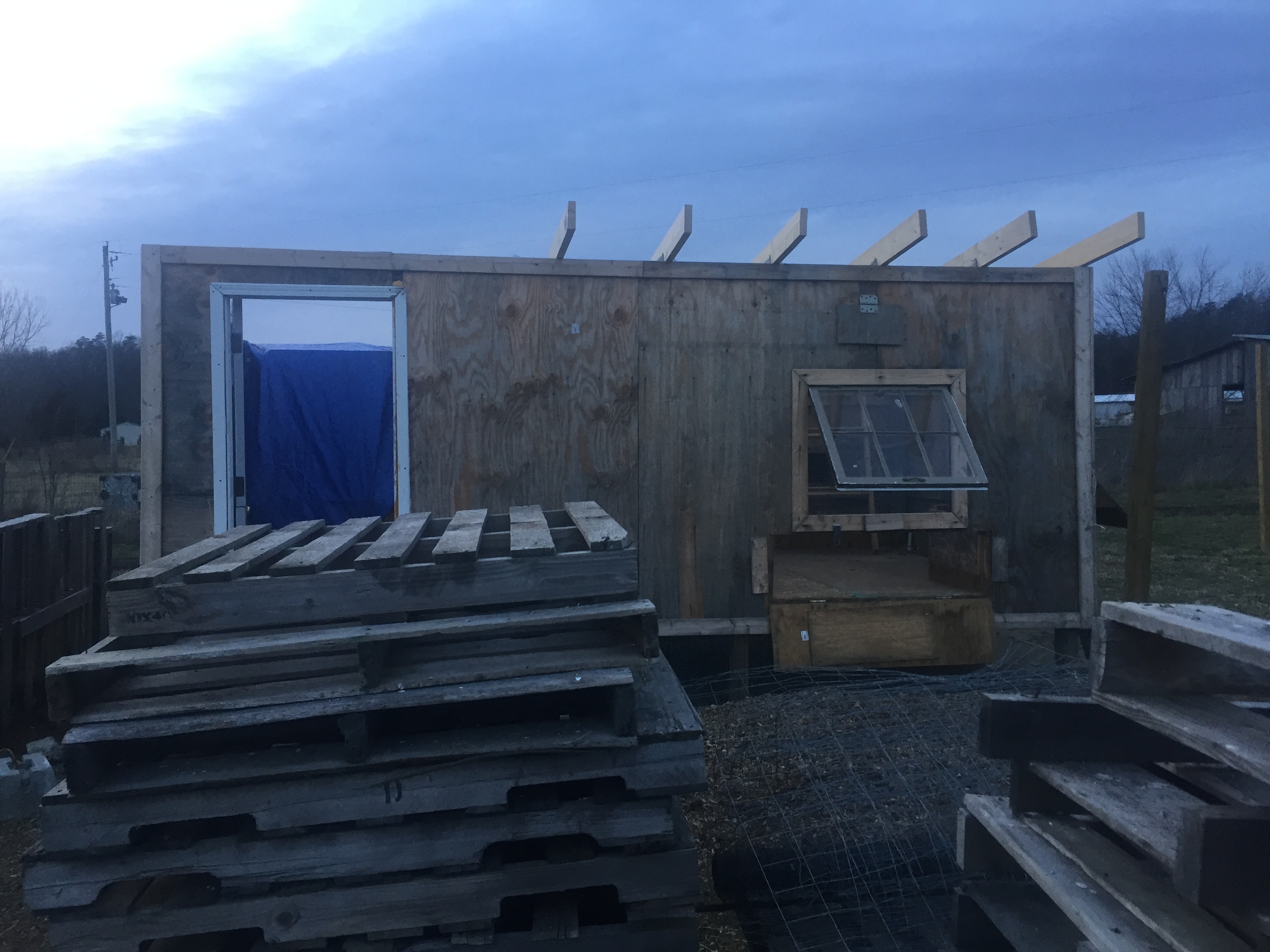 Roof blew off back in mid December. Had to relocate the chicks and rabbits to the barn. Had been to cold to do anything. All my hard work getting ruined in the bad weather. Very depressing. Putting on the new roof now. First time for everything. Doing best I can.