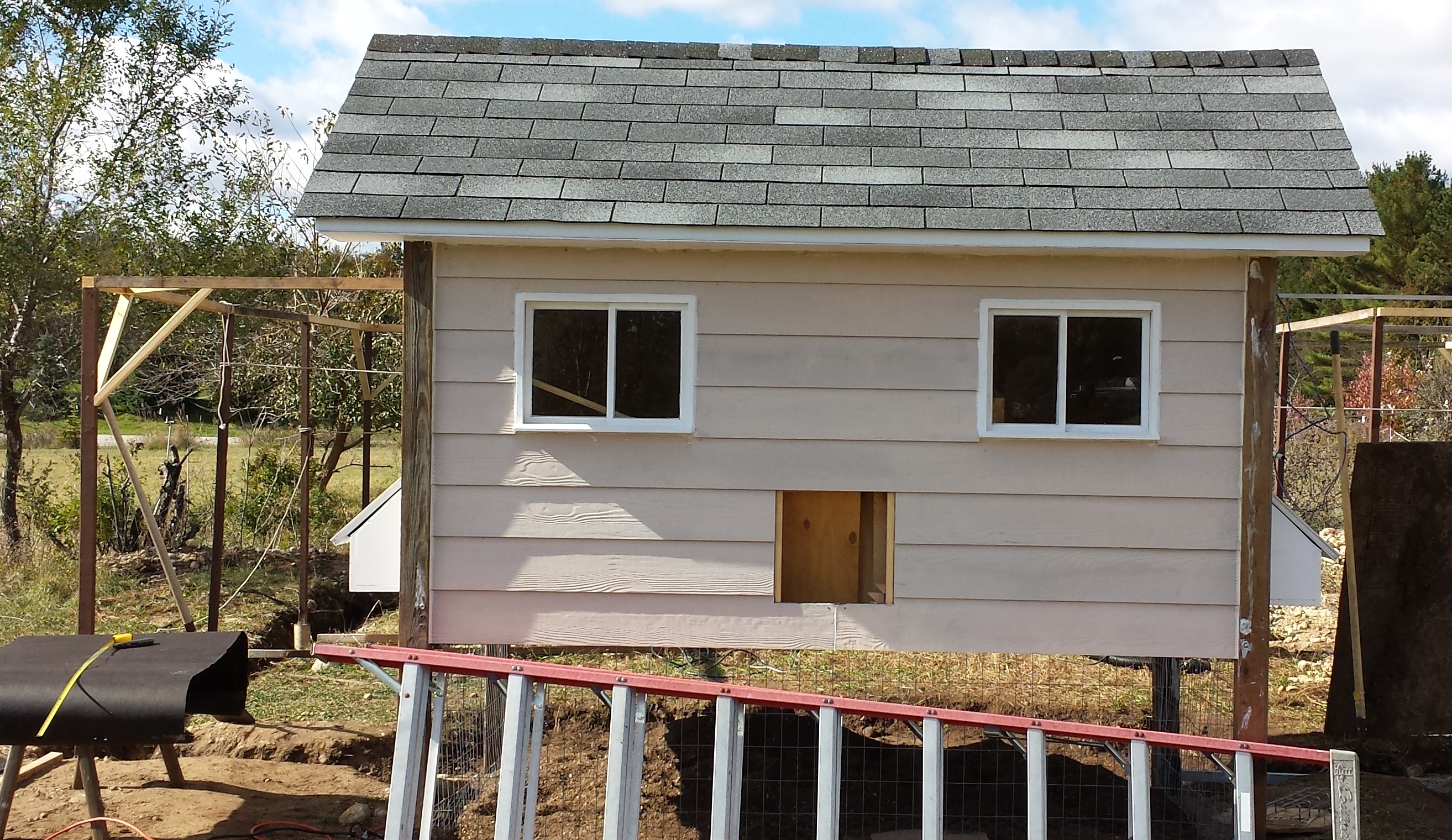 Roof is on before winter.
Started on the Run.  Was hoping to finish by first snow.
Chickens in the spring for the first time.
Right now have for Pekin Ducks.