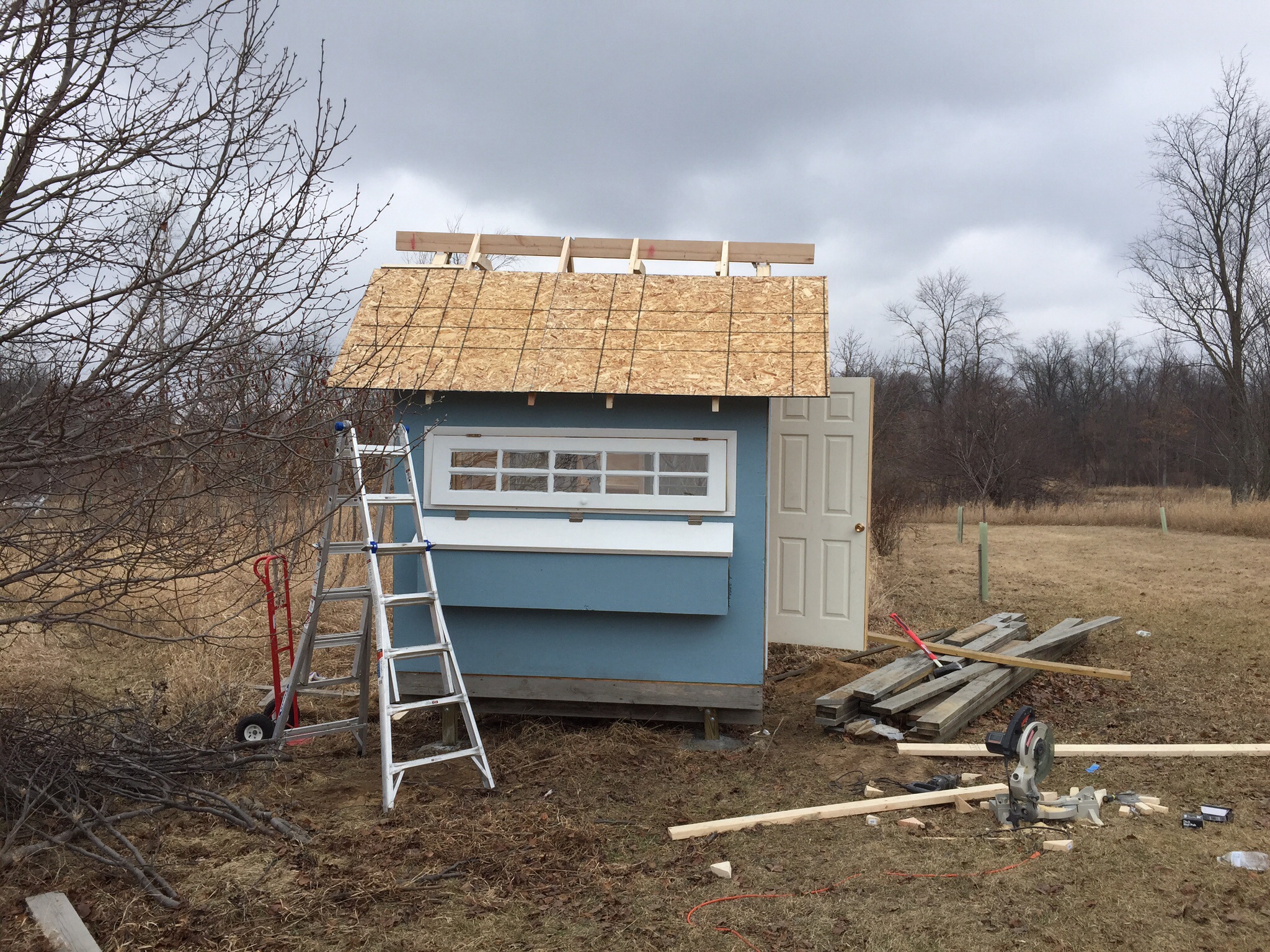 Roof joists are up.  Sheeting is going up, but I made it a 1:1 slope so it's steep. I'm thinking I should have done more like a 1:2 slope.