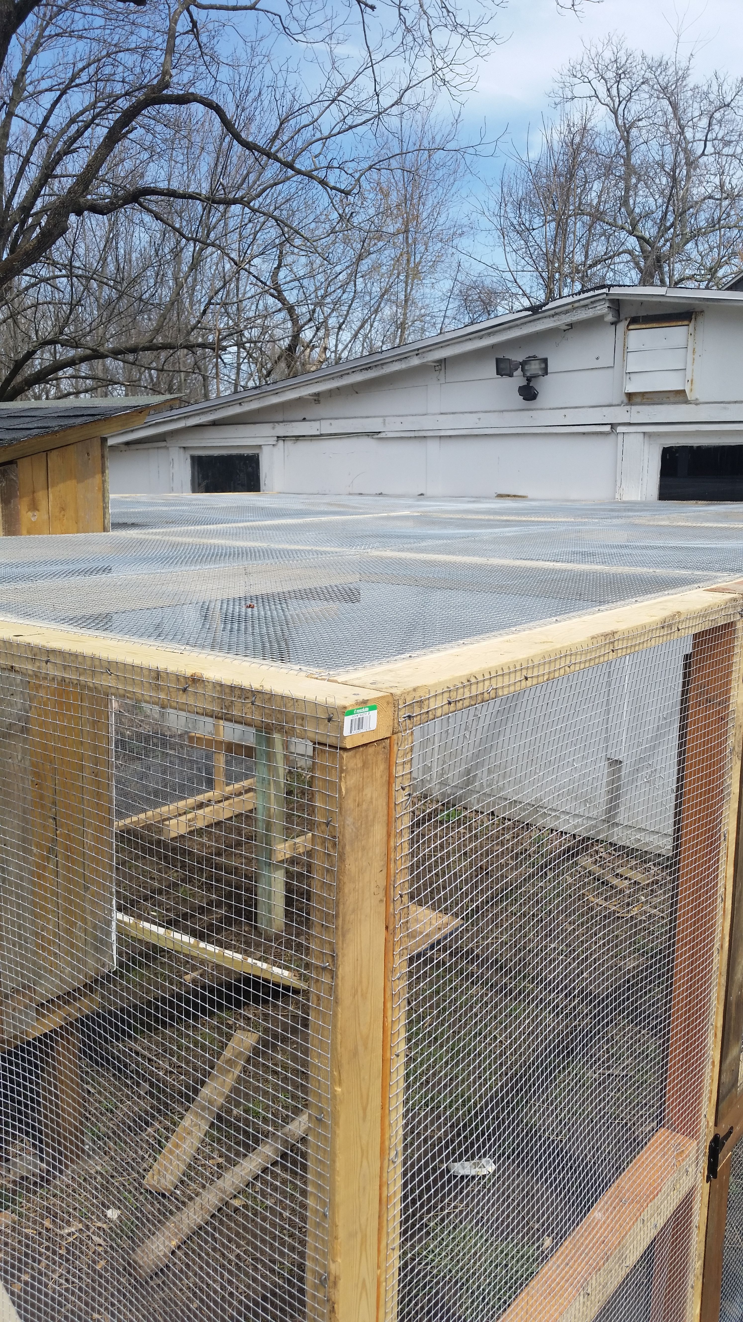 Roof panels are on! It was just pure luck that it turned out so perfectly level :)