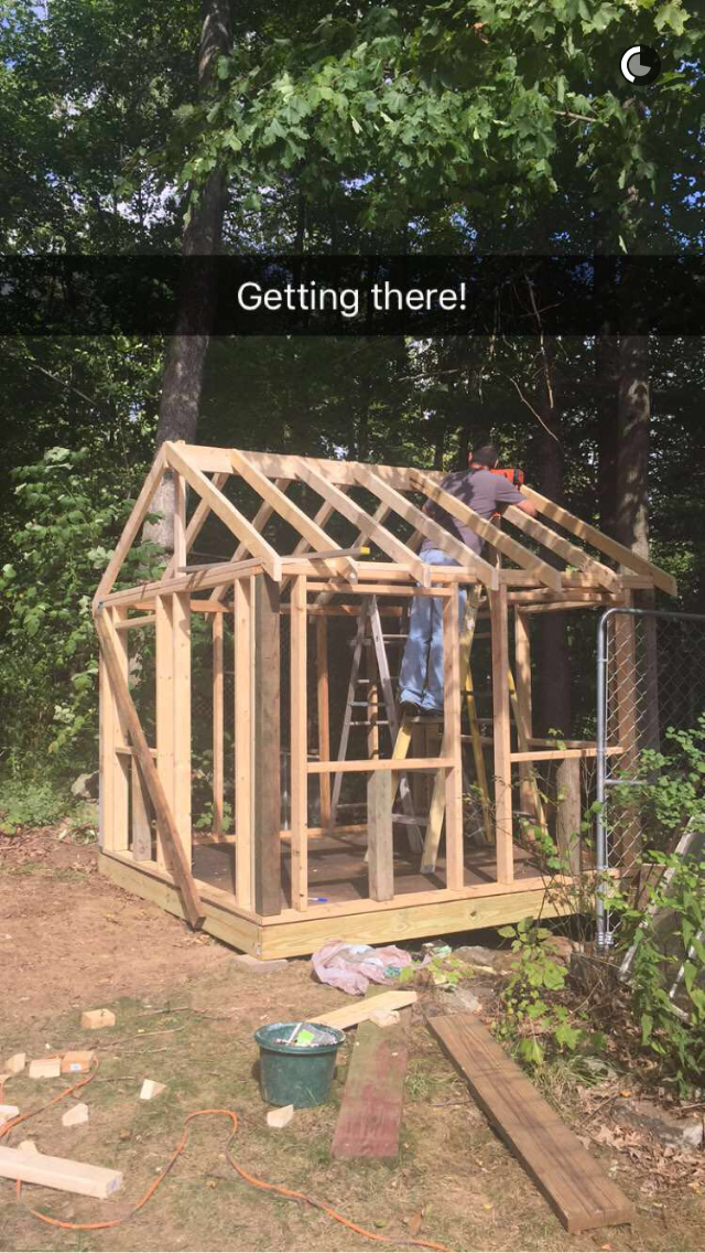 Roof rafters going on, had to call in reinforcements to help with this step.
