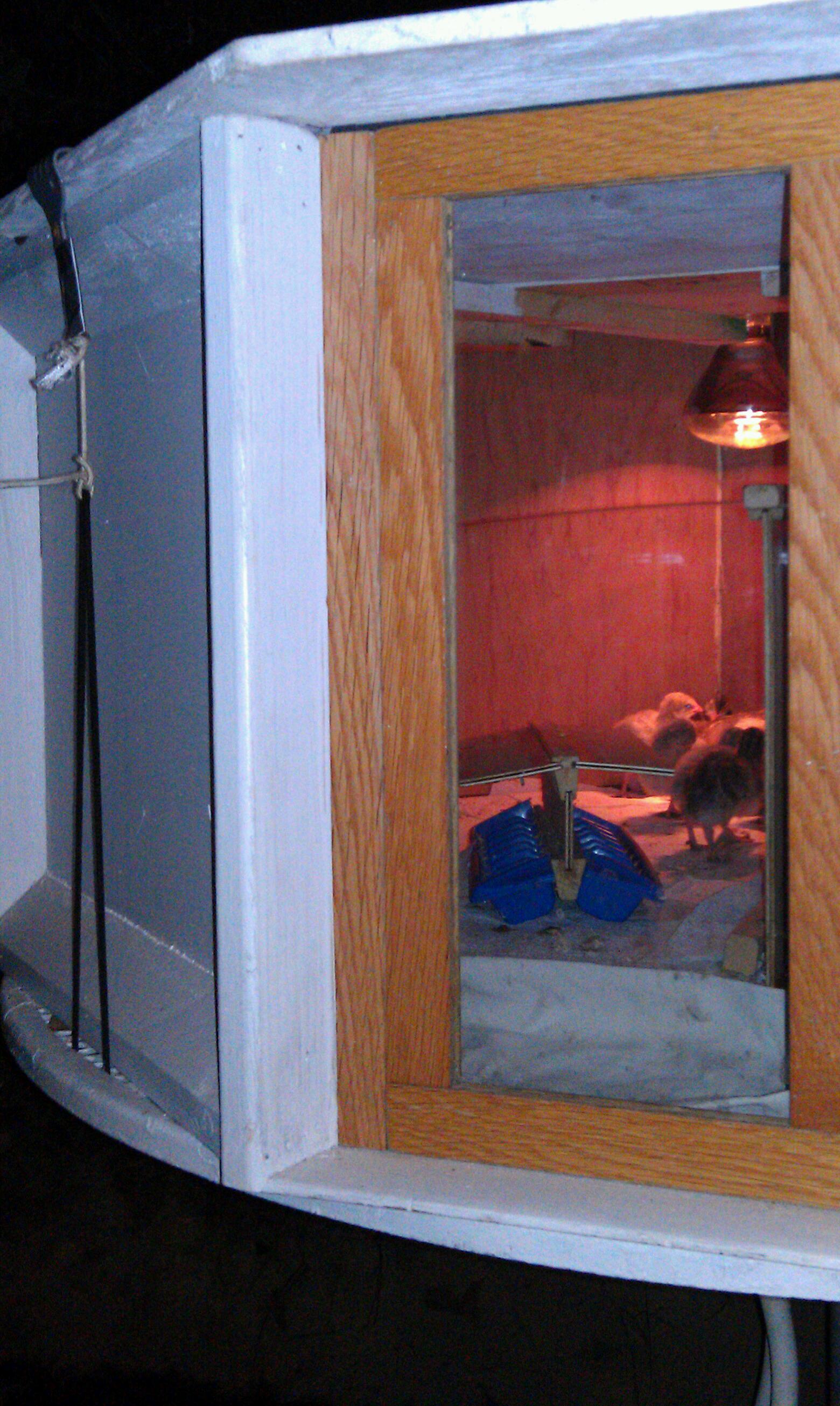 Rooftop carrier gutter clips tied to elastic cording secures to top down, which must be lifted before the front door can be slid up 'n out. The second glass, visible through the door, serves to control air flow, as well as to allow folks a stress-free view into the world of keets (and chicks, in a few days ~'-)
