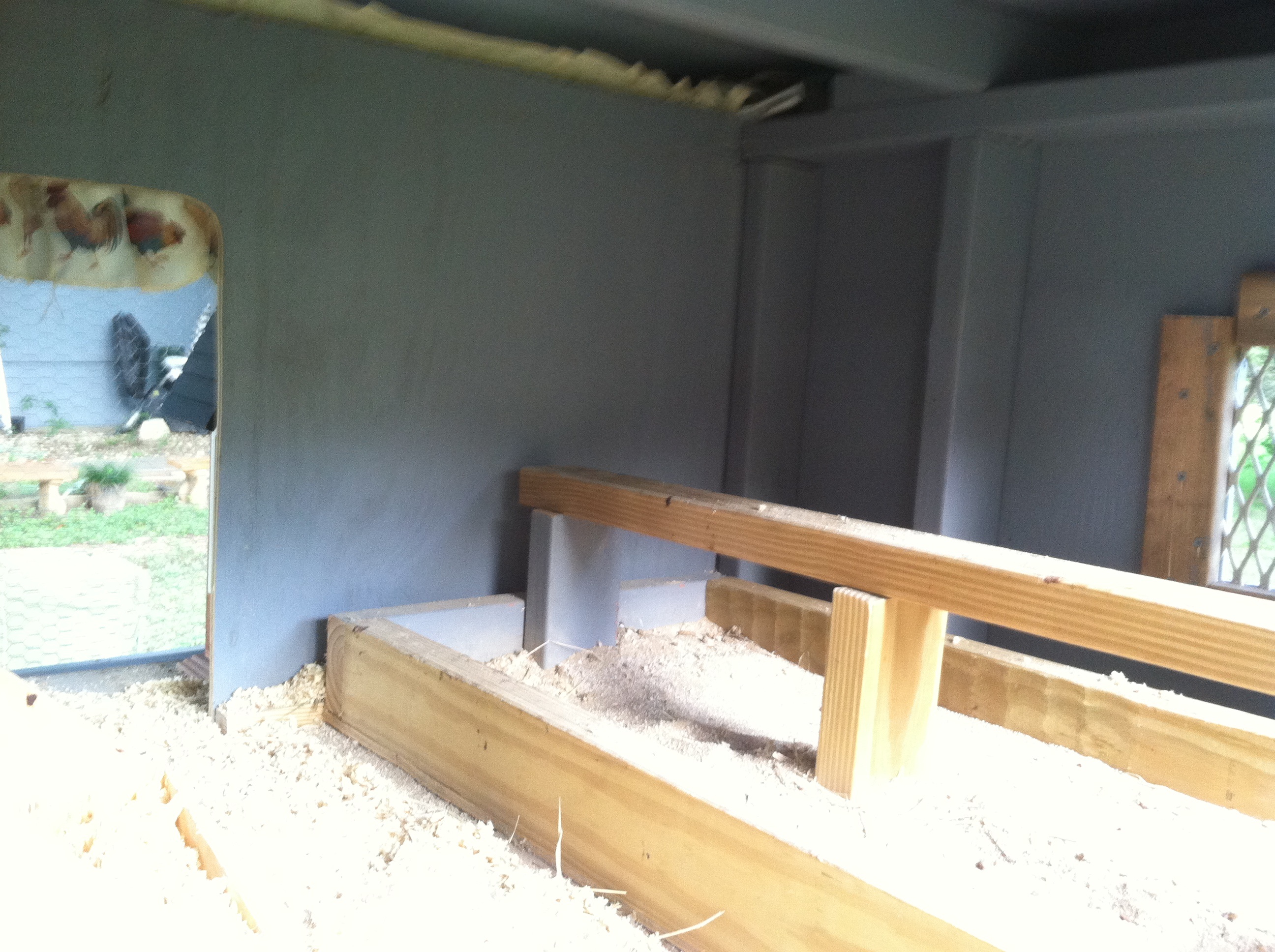 Roost area. Nests are on the left out of camera view