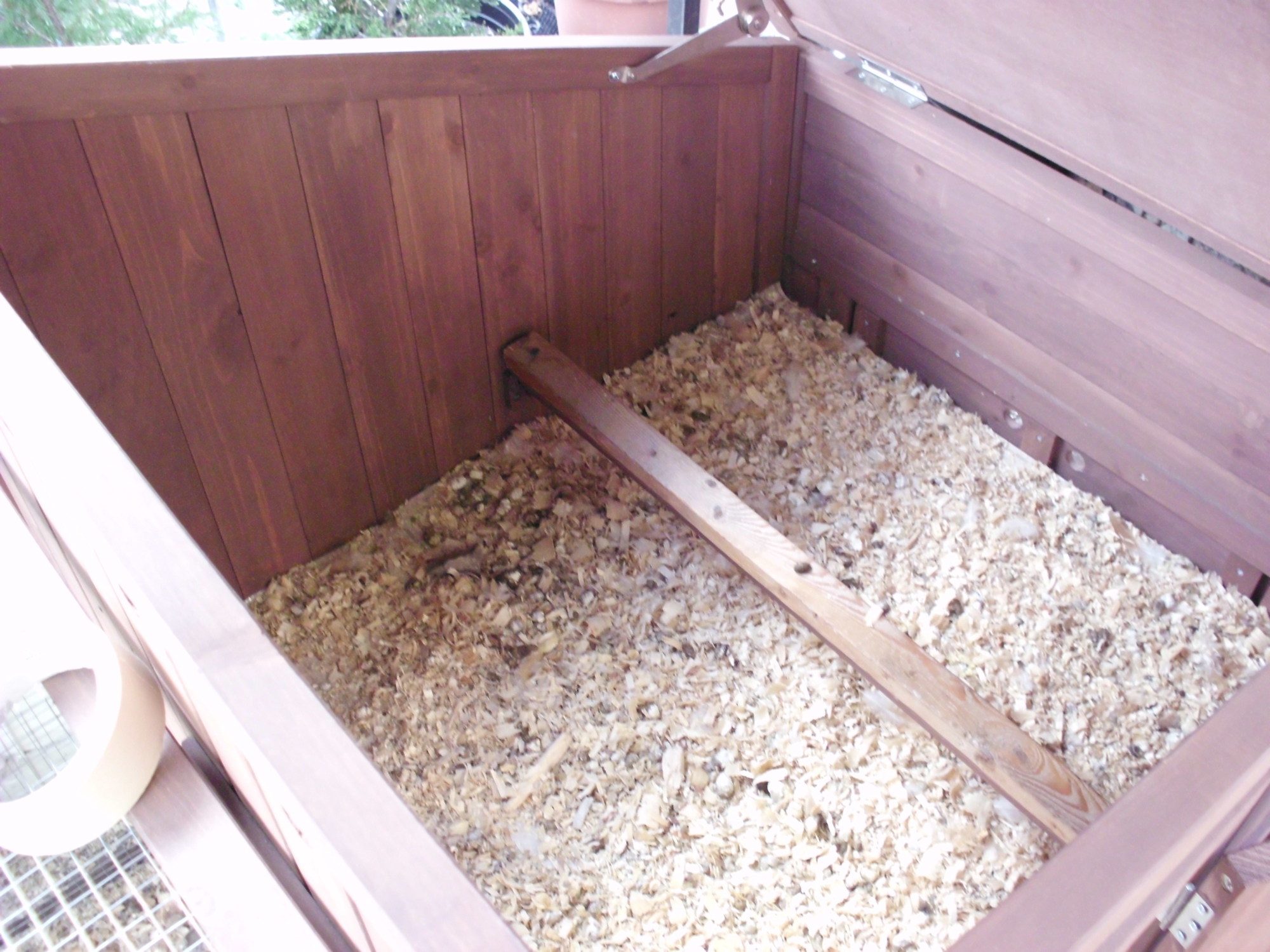 roost inside the coop