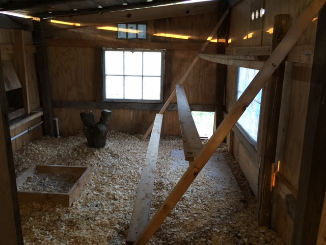 Roosting bars, 24' worth. Connected to coop wall with hinges. Roosting bars raise and hook to ceiling for clean out purposes.