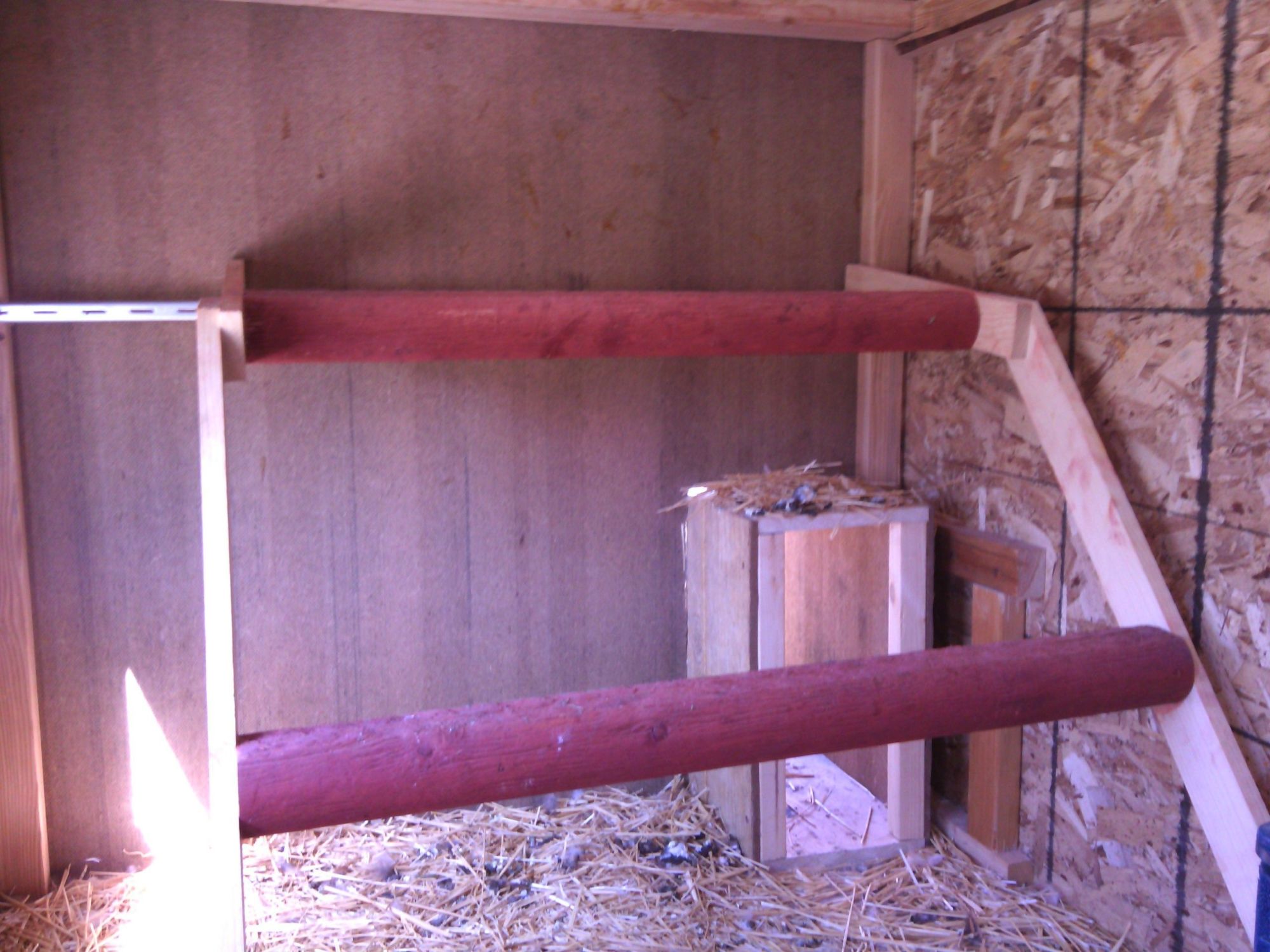 roosting bars are removable for coop cleaning