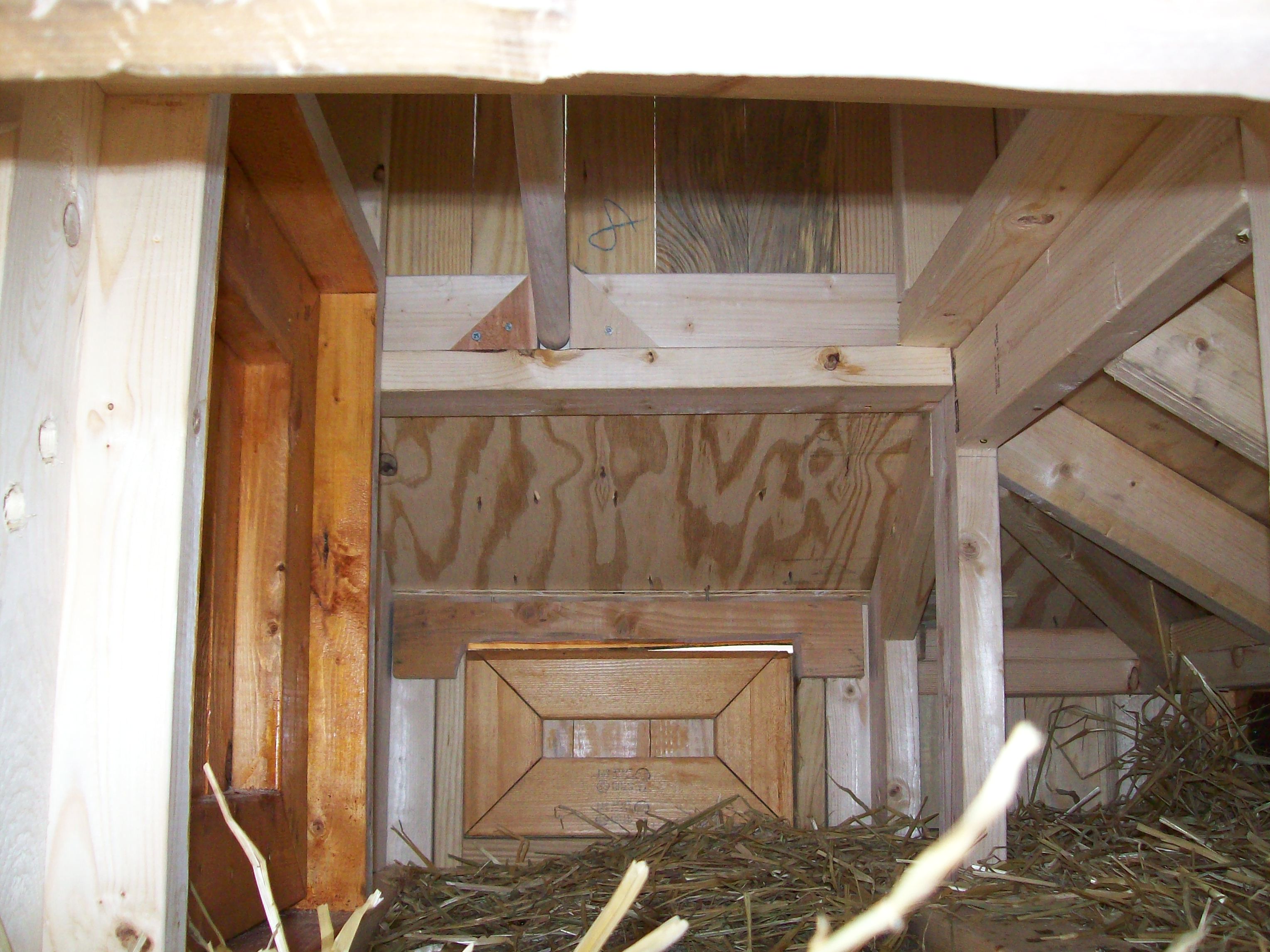 Roosting rod on inside of hen house. Already discovered that I need another roosting rod somewhere.