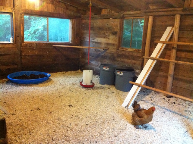 Roosts. 2 ladder roosts and two corner roosts.