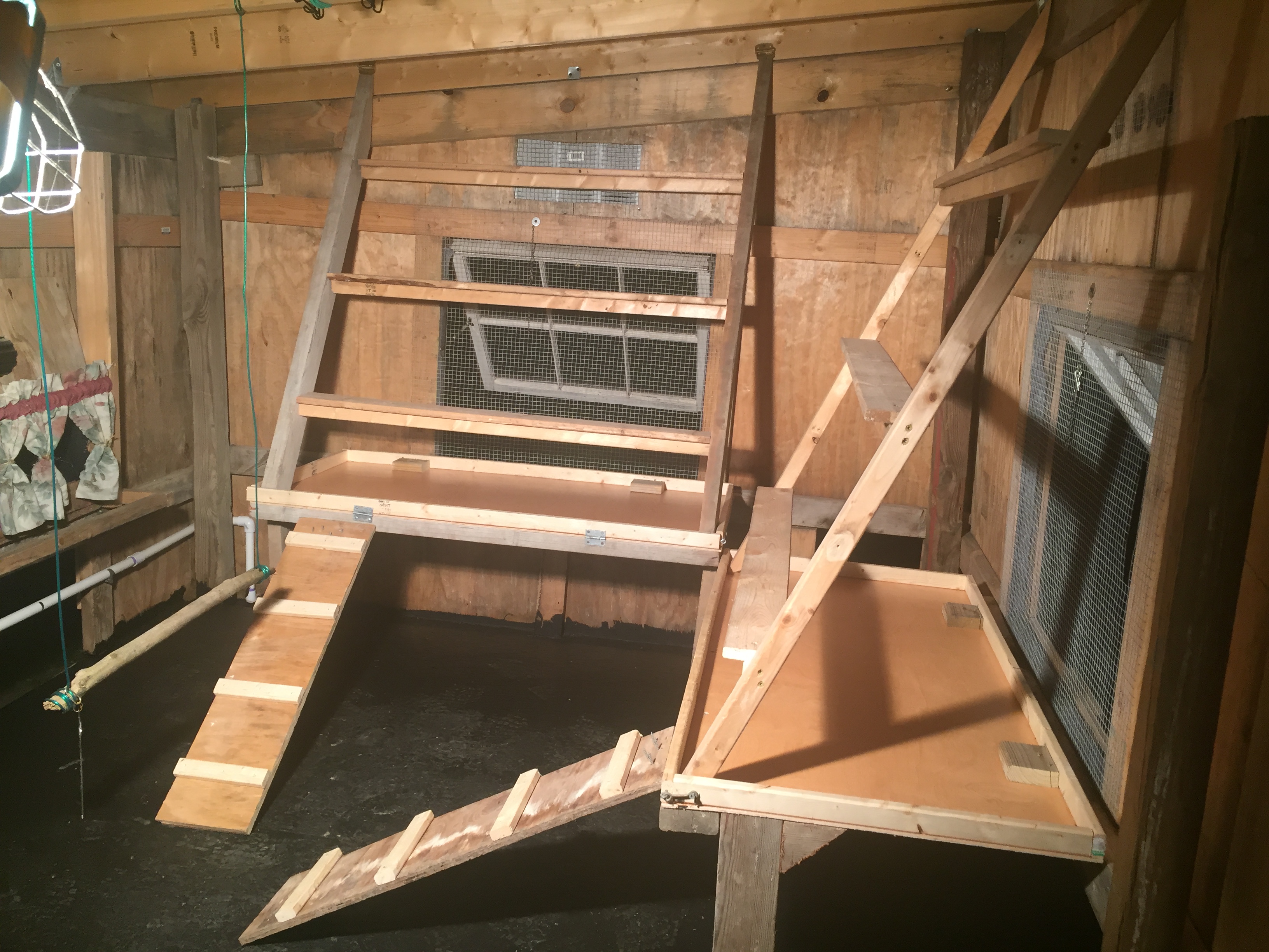 Roosts fold up and hang from rafters. Then poop boards and ramps come up. Easy peeze at cleaning time.
