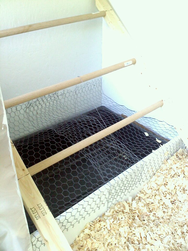 roosts with poop tray underneath