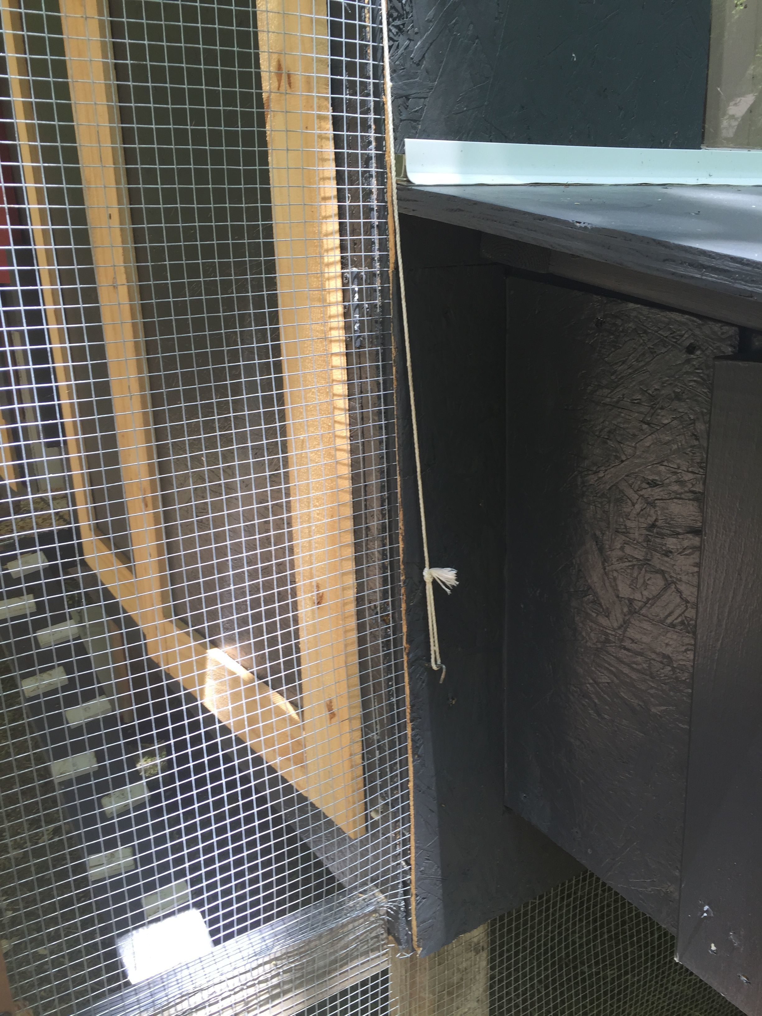 Rope and hook for chicken door