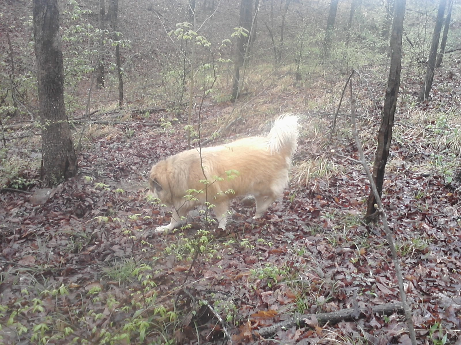 Rose exploring with me.