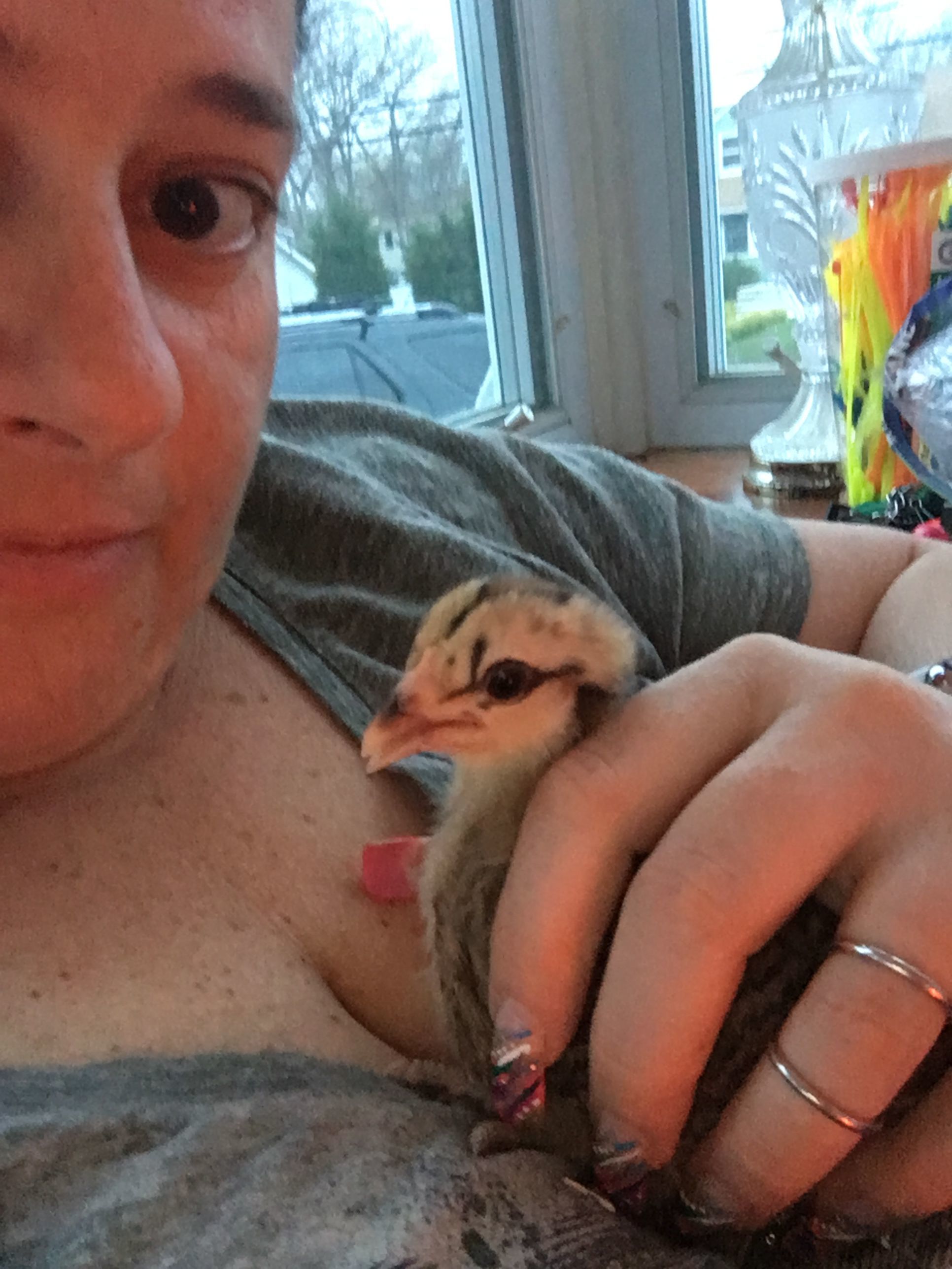 Rose my Easter Egger