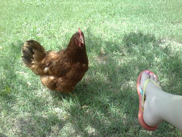 Rosie and I are just hanging out...