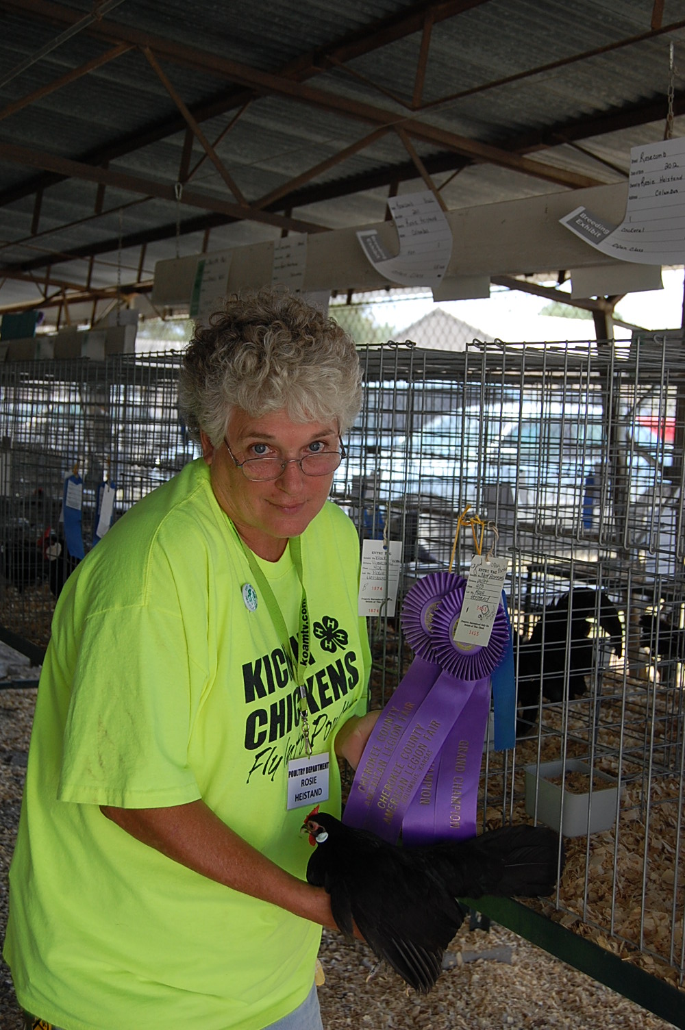 Rosie and pullet