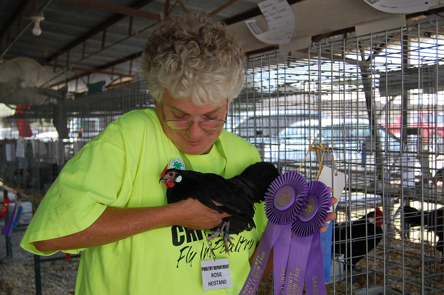 Rosie and pullet