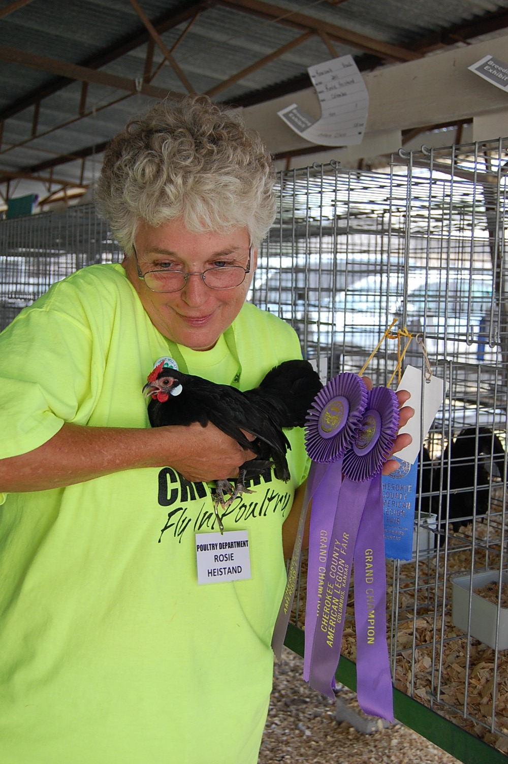 Rosie and pullet