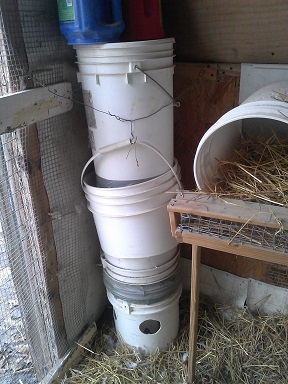 Round Feeder in Coop