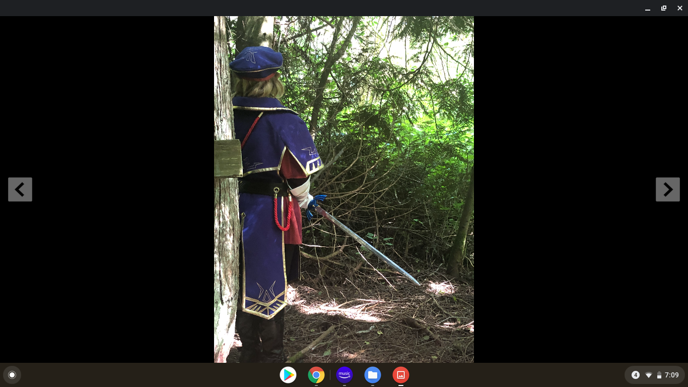 Royal Guard photo #2