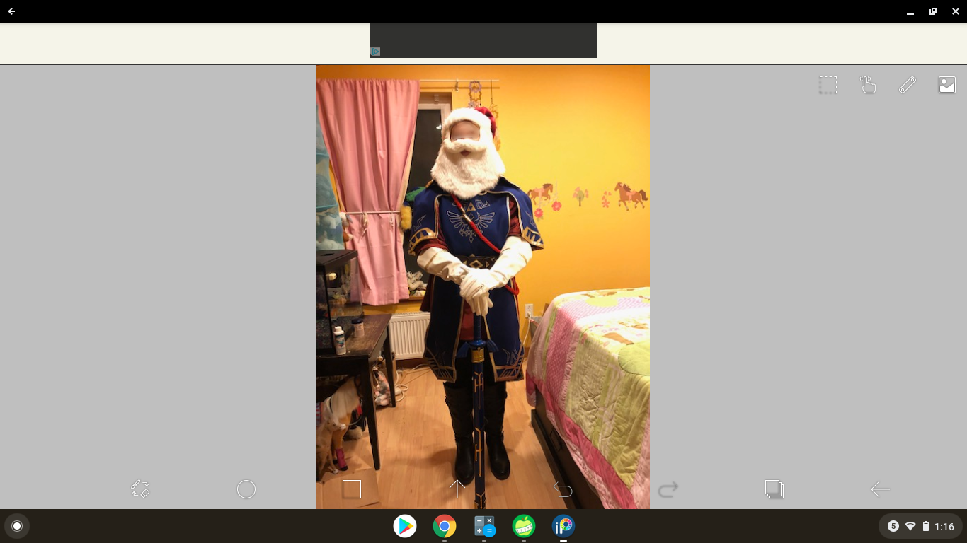 Royal guard photo, holiday #1