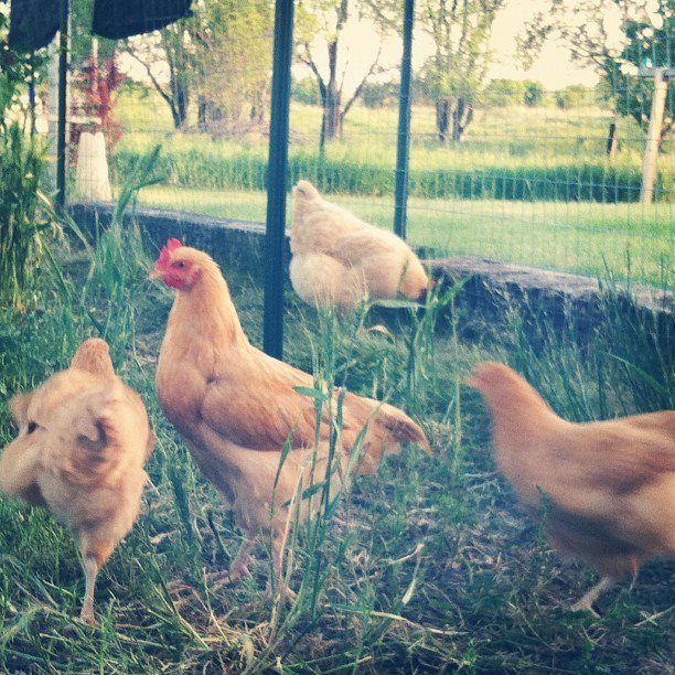 ruby and the other 2 buff girls. all the same age.