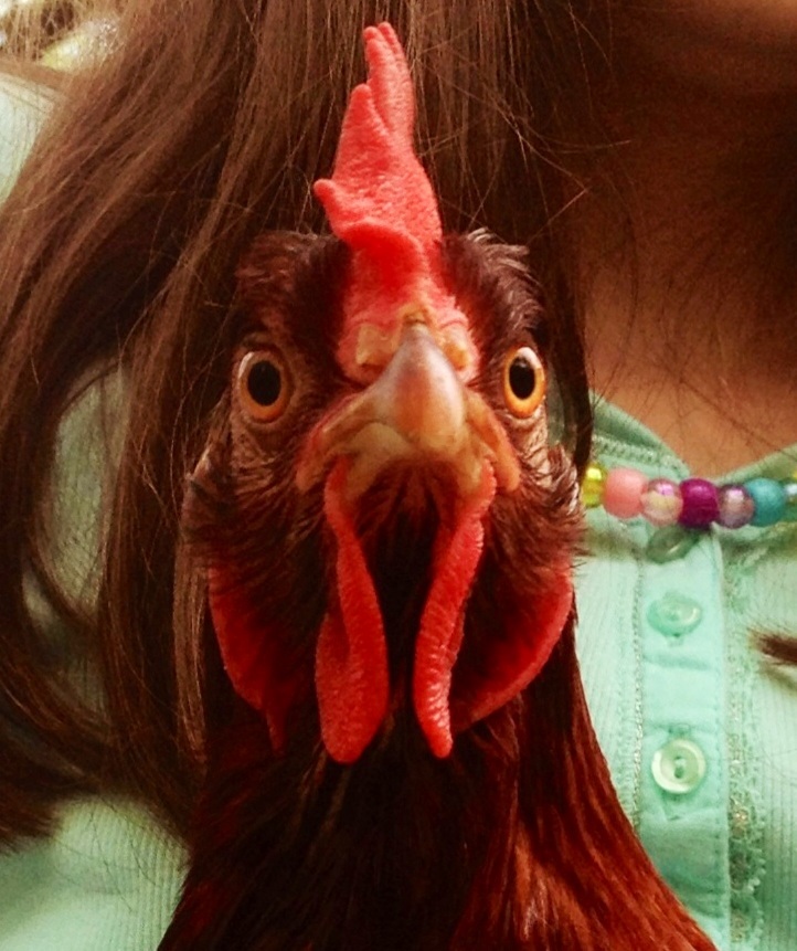 Ruby, my RIR