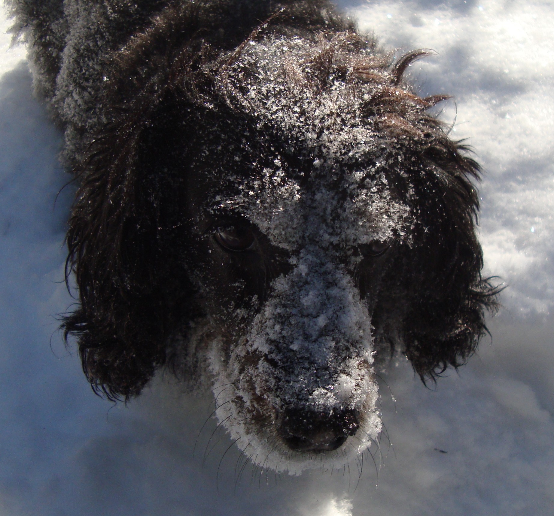 Ruby