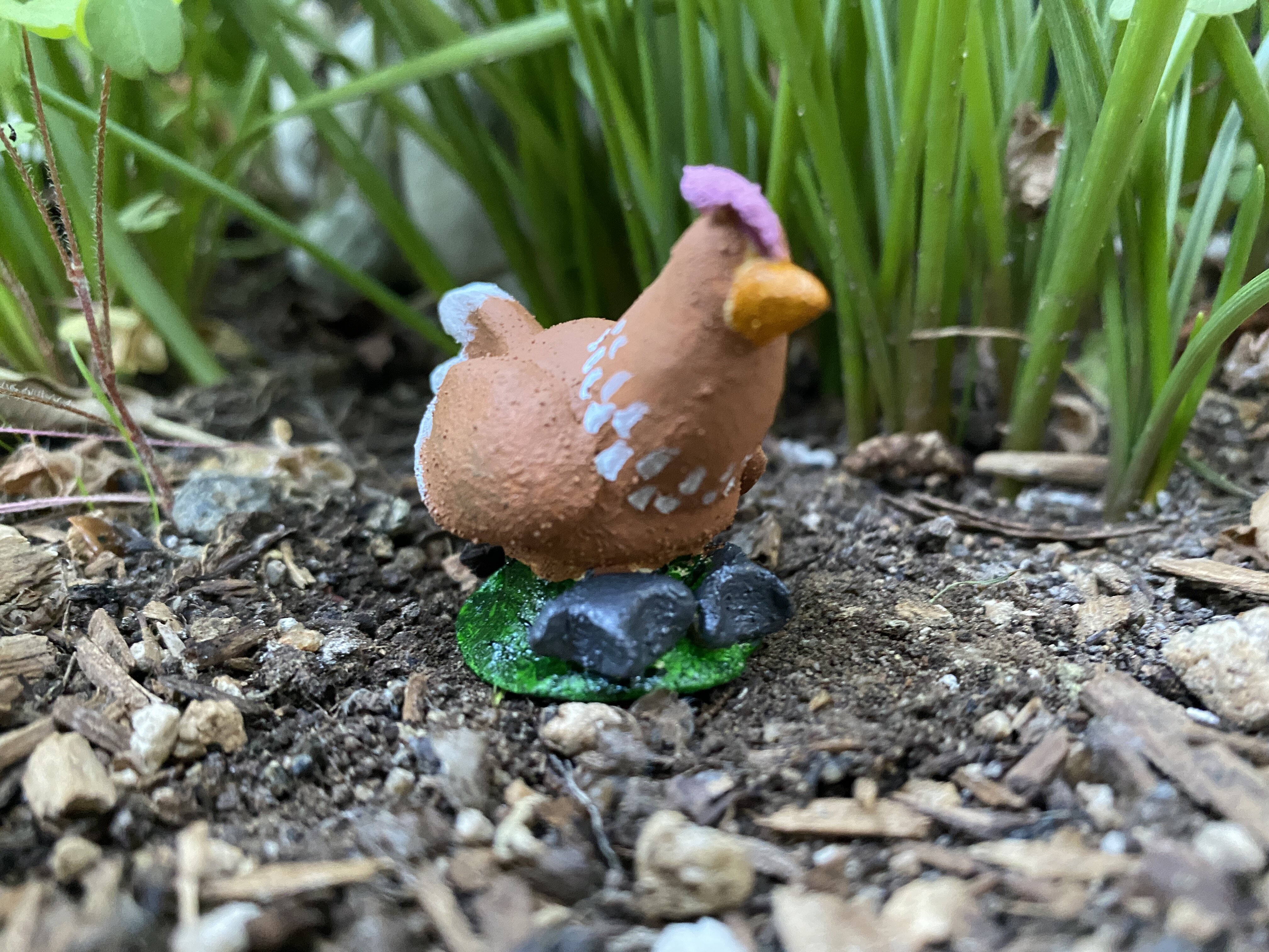 Ruffles, a red sexlink hen.