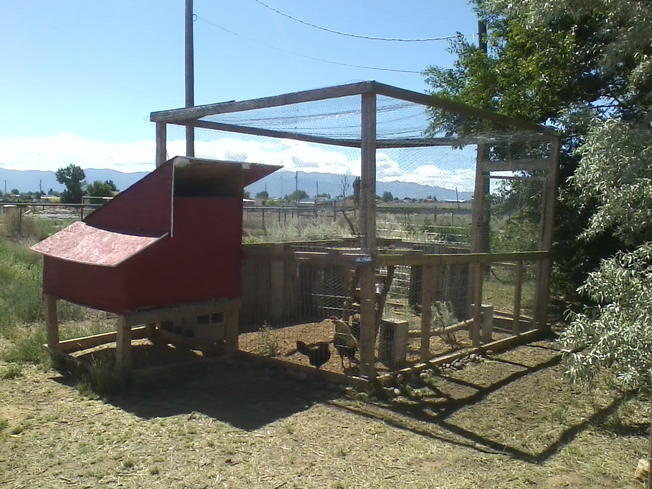 Run/coop for Kenny and Bianca