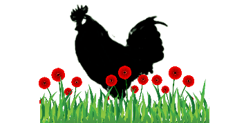 Run cycle behind poppies.