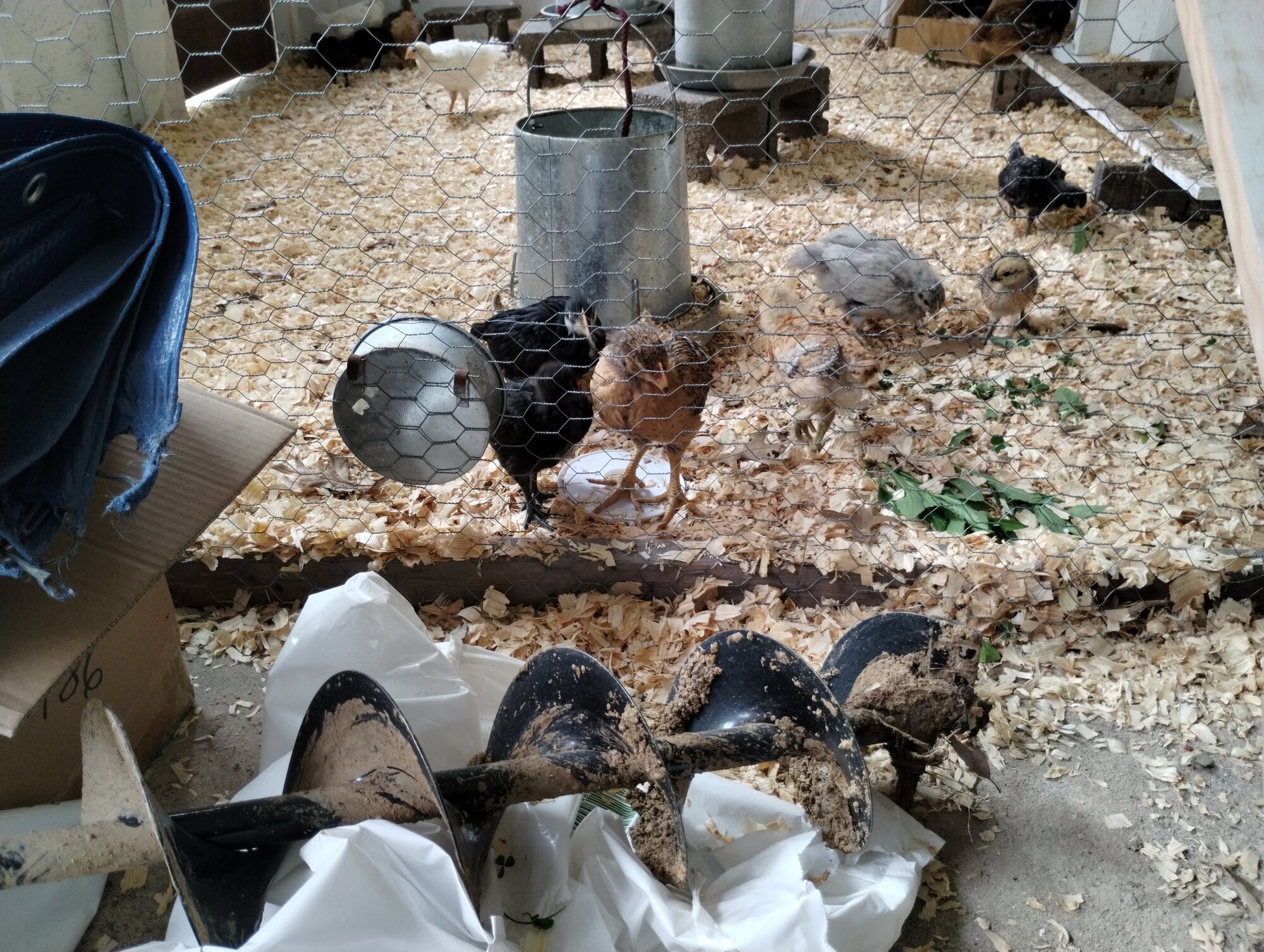 Run is not complete, little storage in part of the coop!
