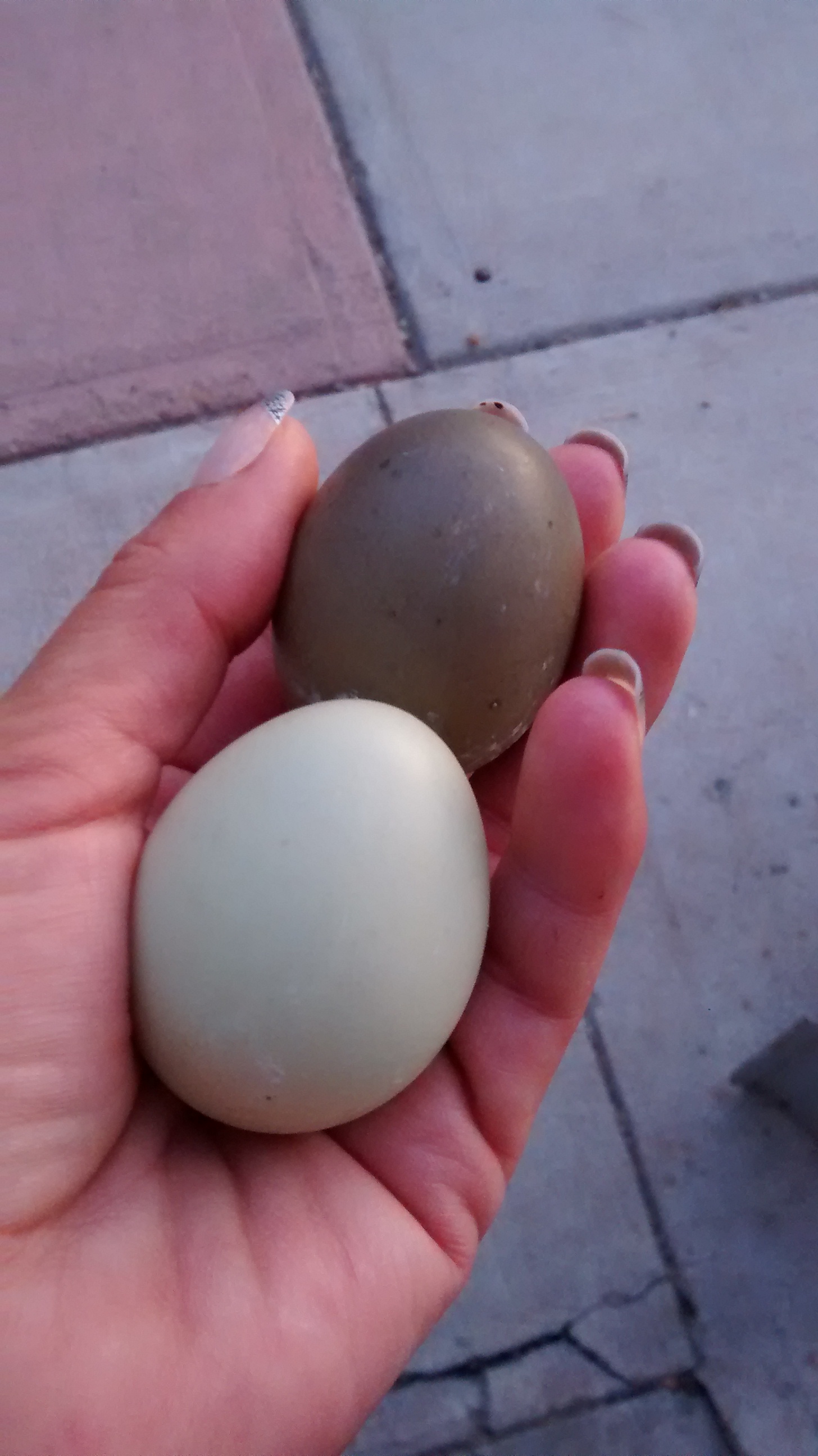 Runner eggs, finally!