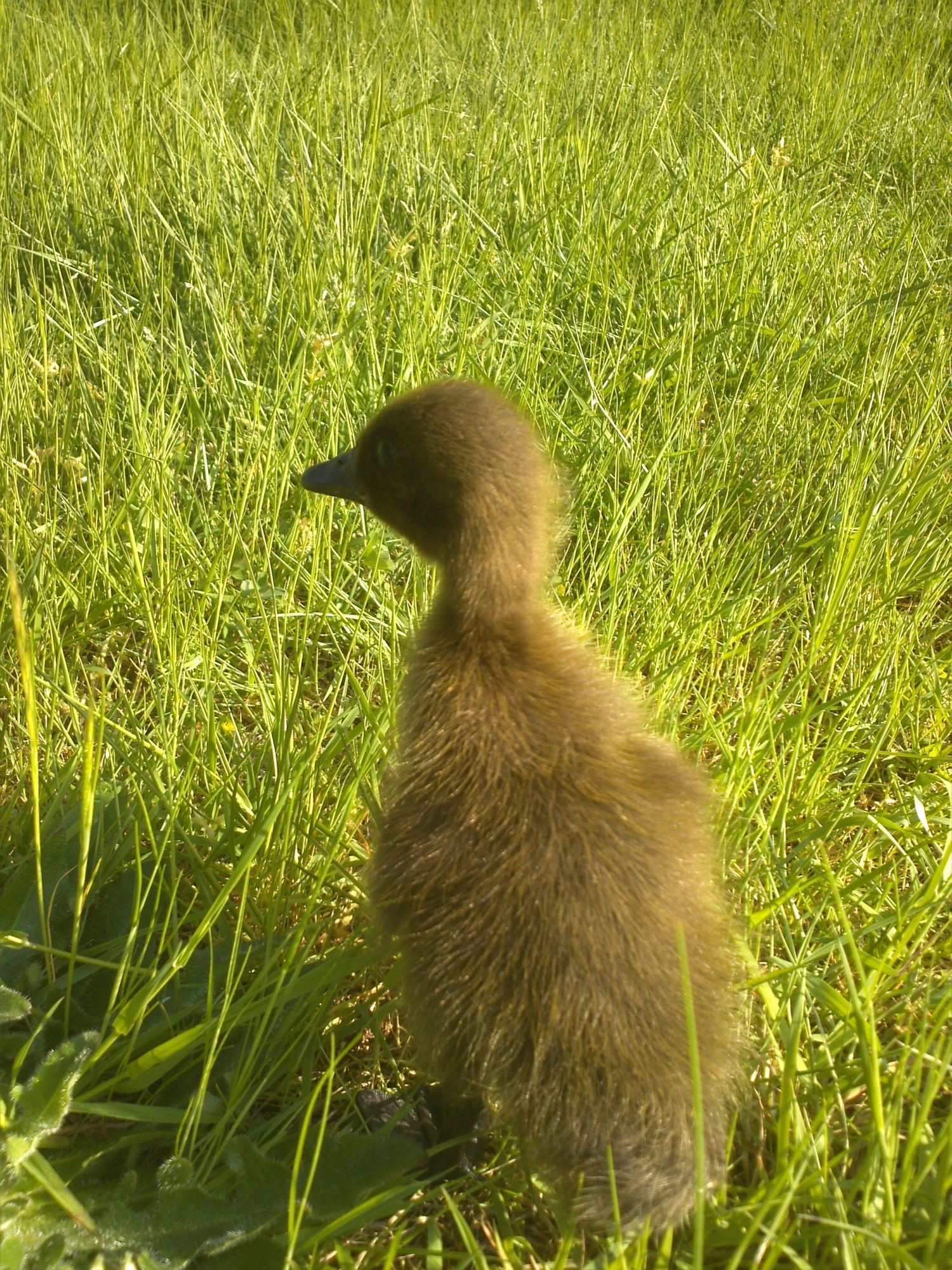 Runner, looking into the great unknown.