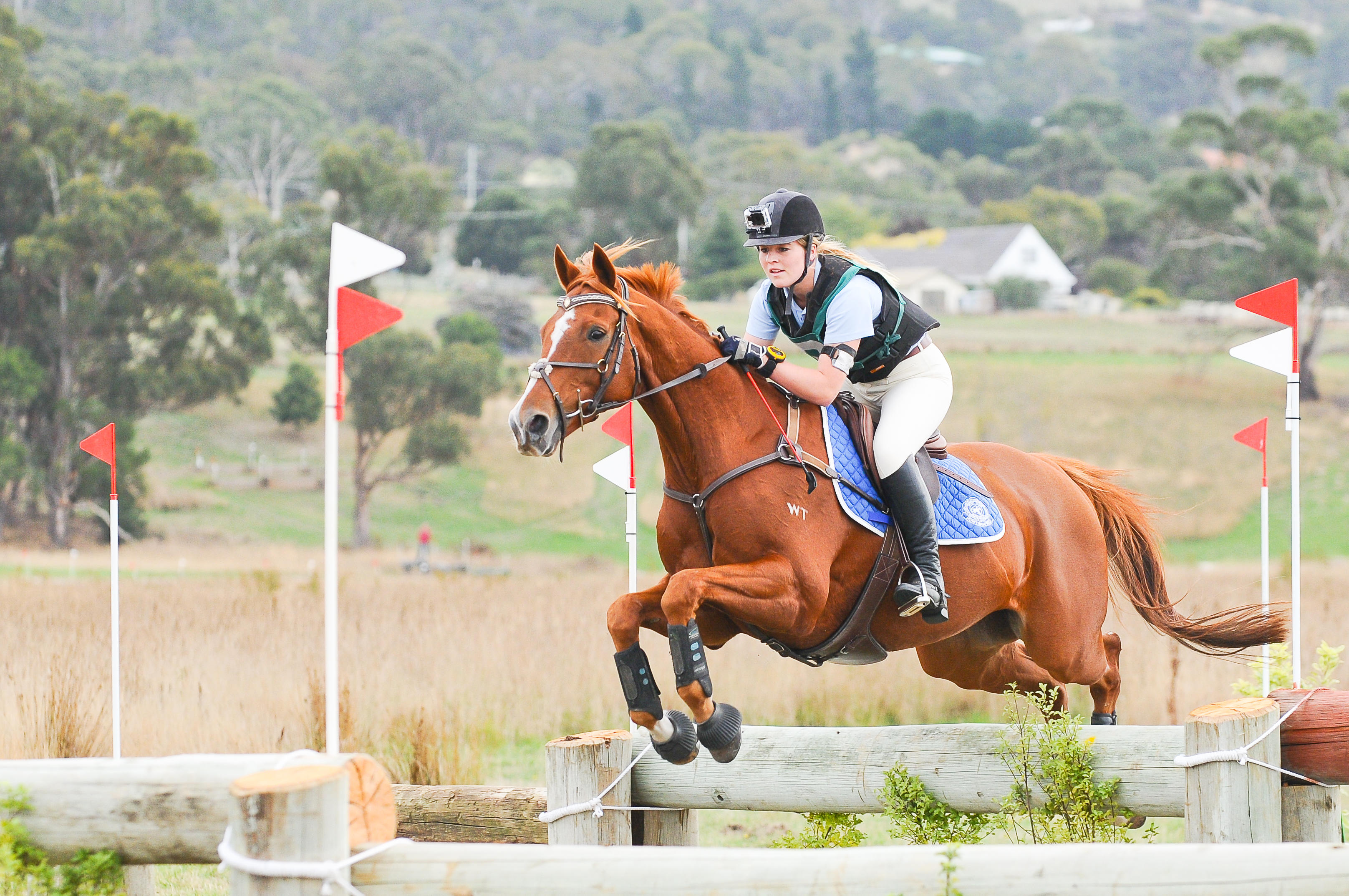 Rustic Fire ,STEA eventing champs 2013